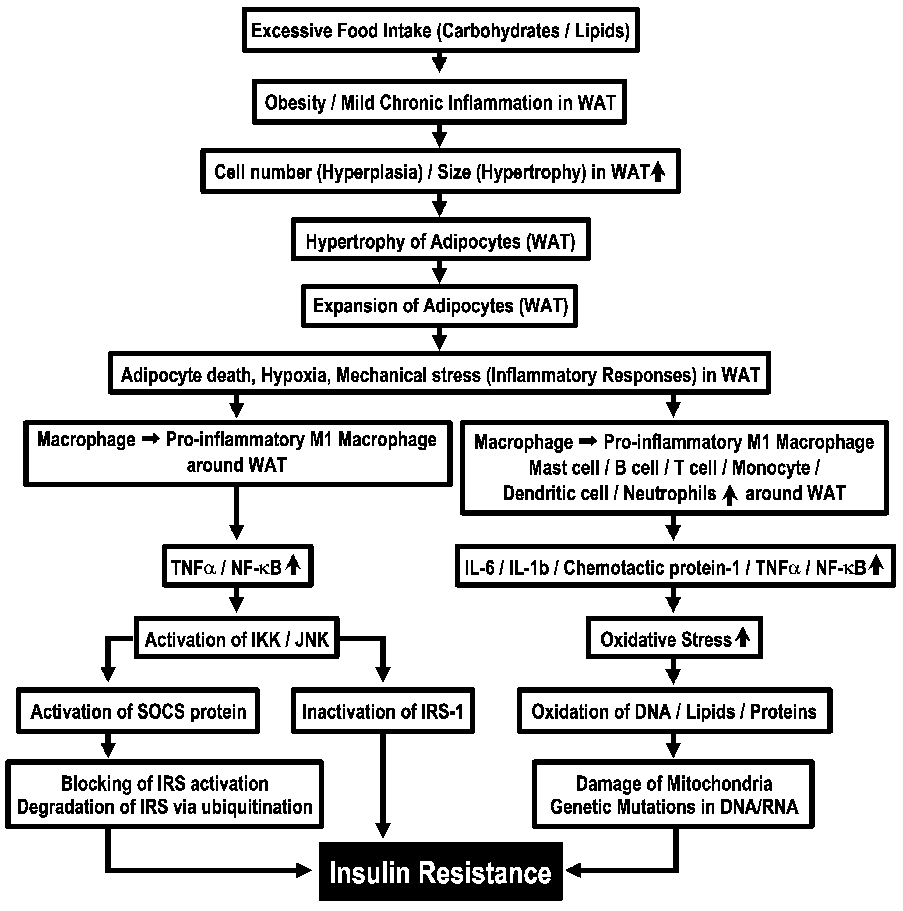 Biomolecules 13 00779 g001 Biomolecules 13 00779 g001