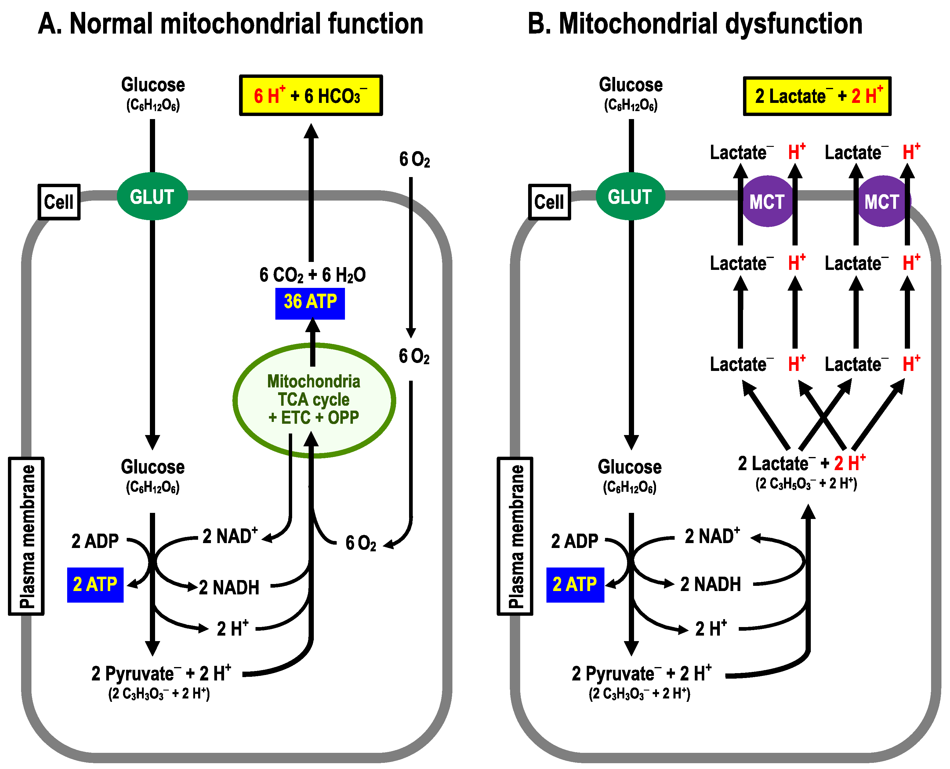 Biomolecules 13 00779 g002 Biomolecules 13 00779 g002
