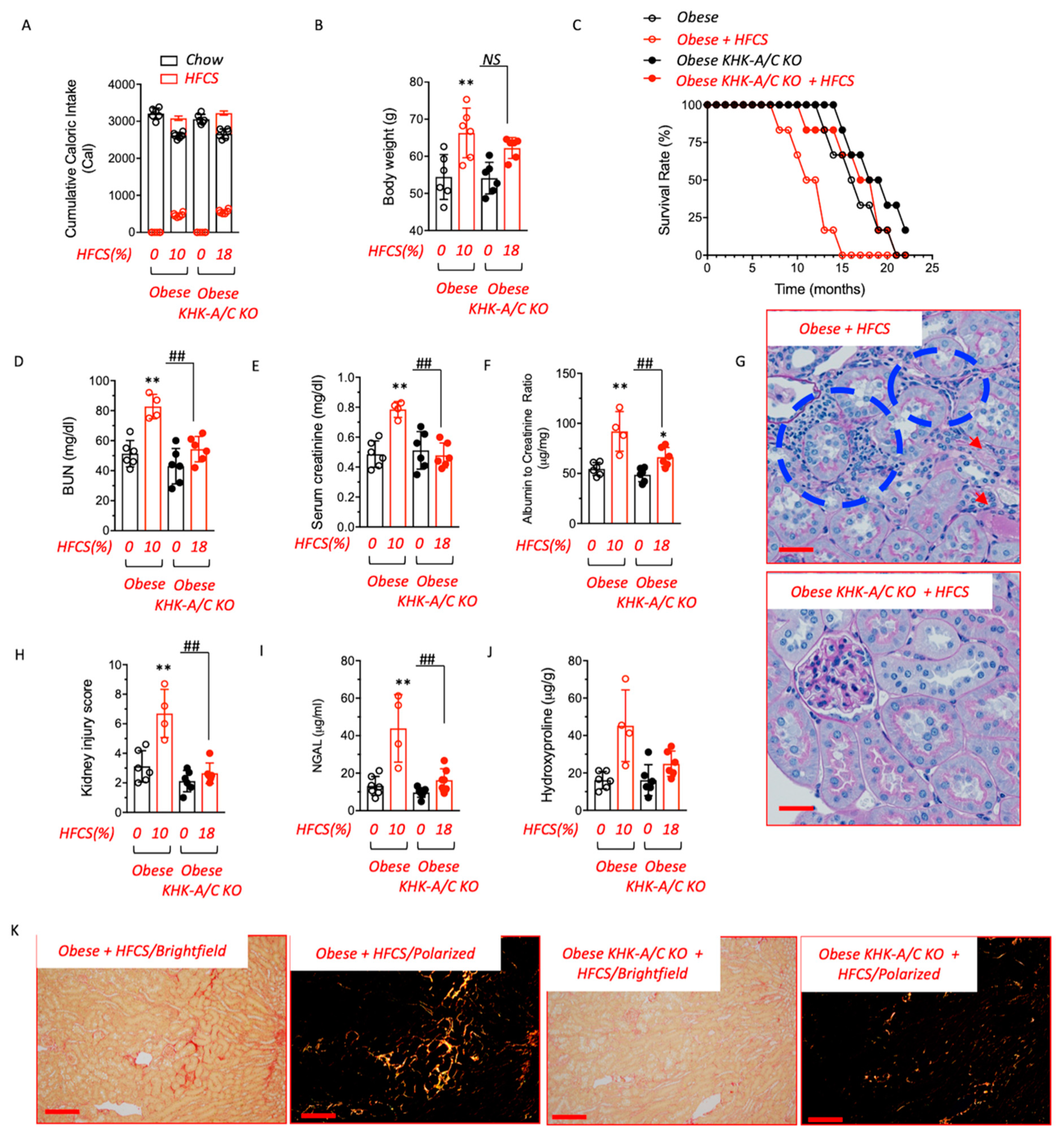 Biomolecules 13 00780 g003