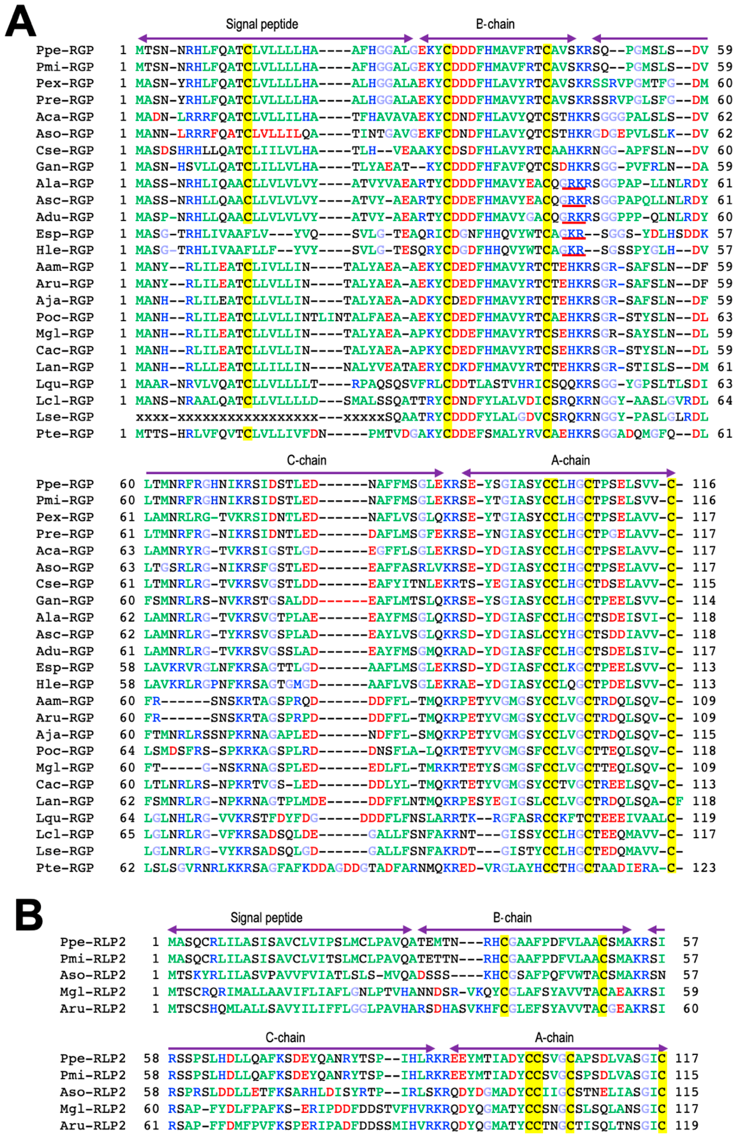 Biomolecules 13 00781 g003 Biomolecules 13 00781 g003