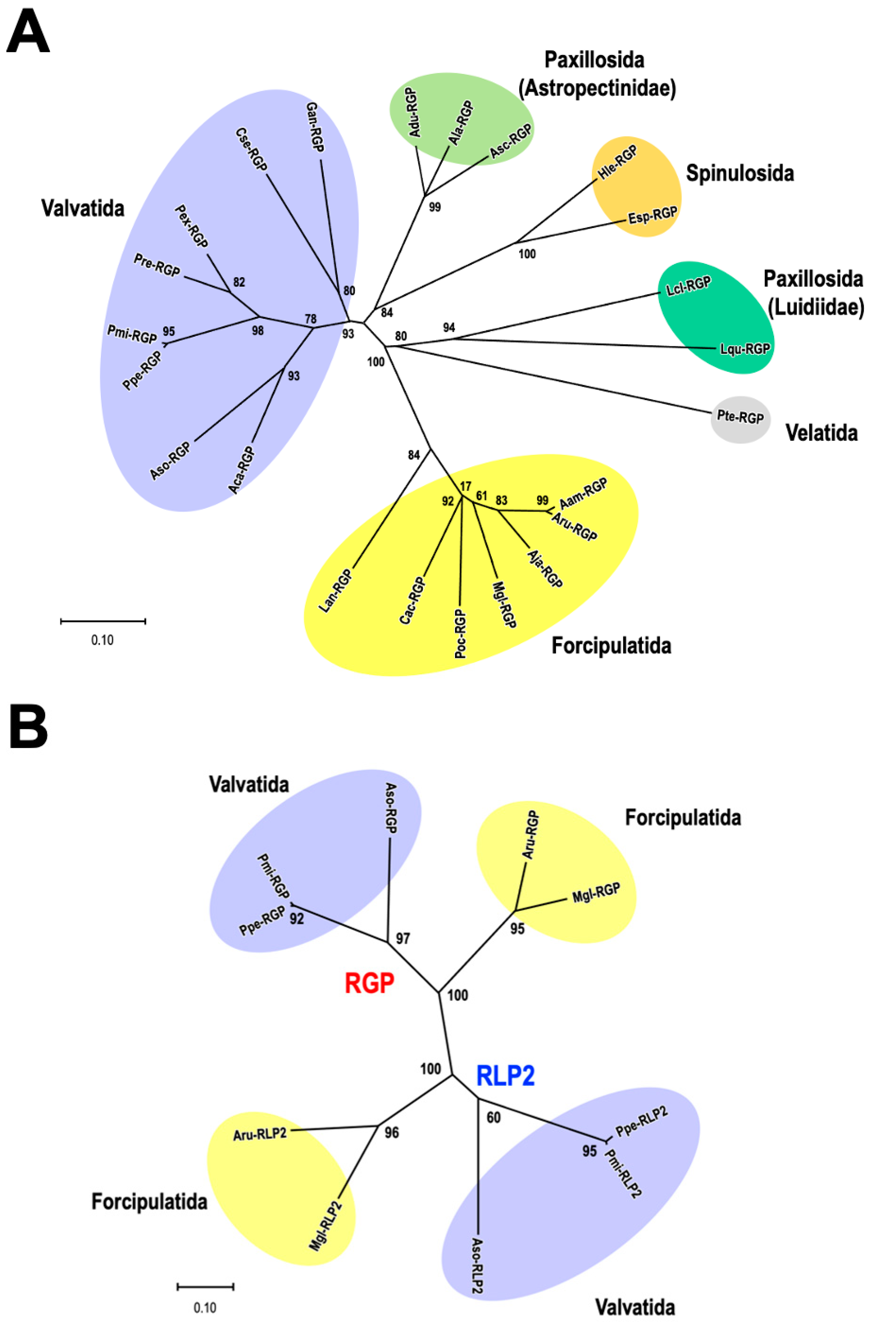 Biomolecules 13 00781 g004 Biomolecules 13 00781 g004