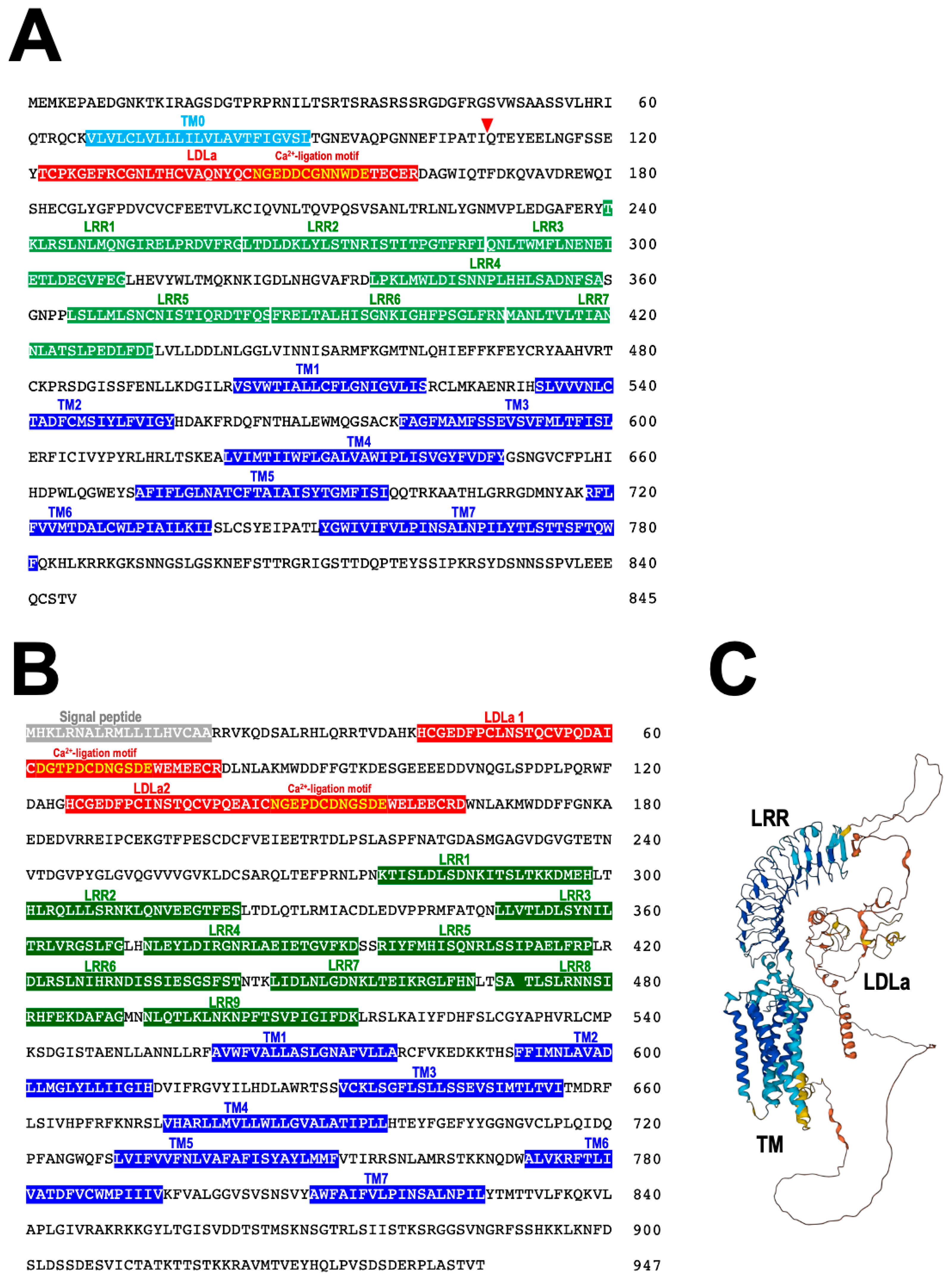 Biomolecules 13 00781 g007 Biomolecules 13 00781 g007