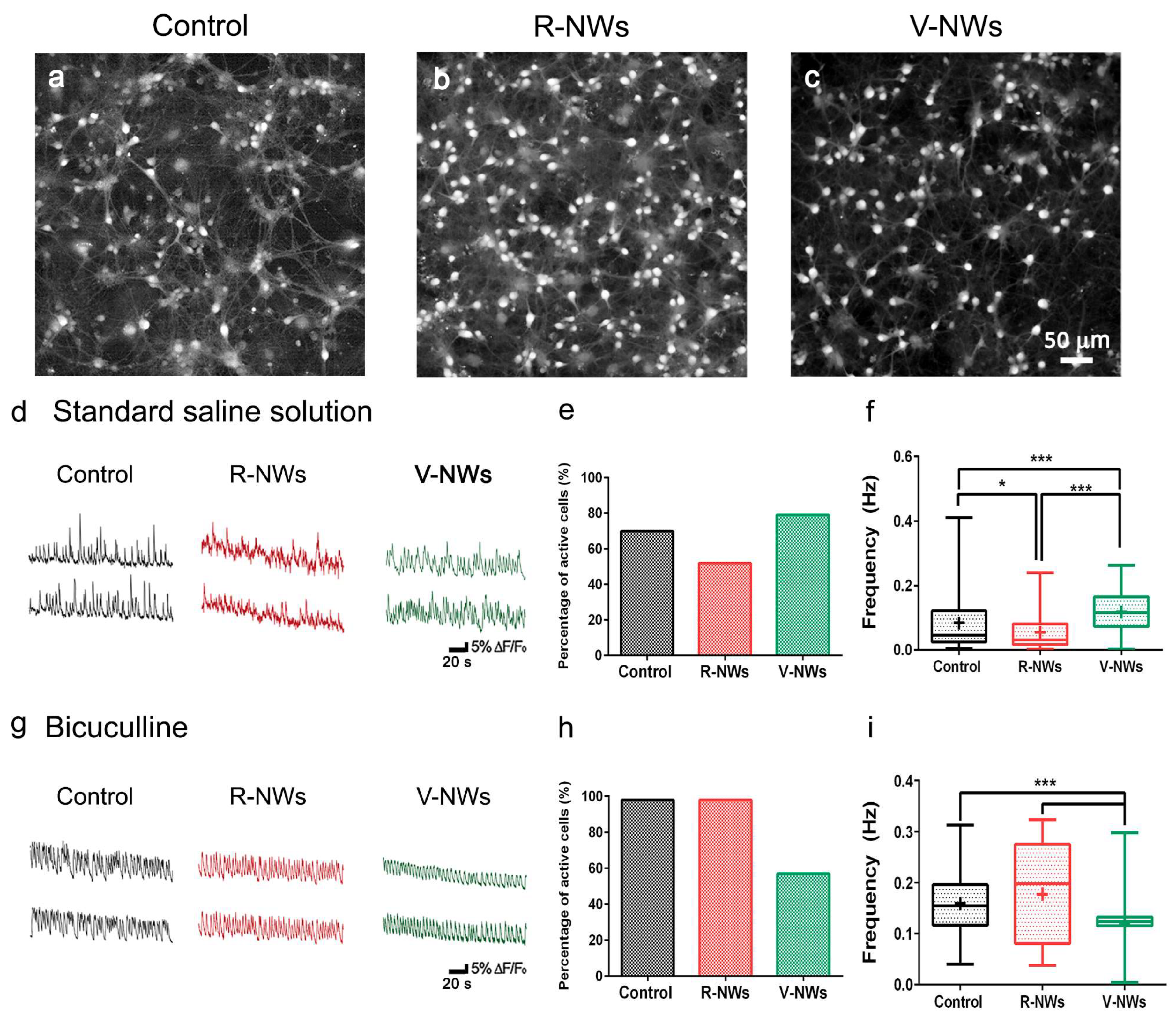 Biomolecules 13 00783 g003