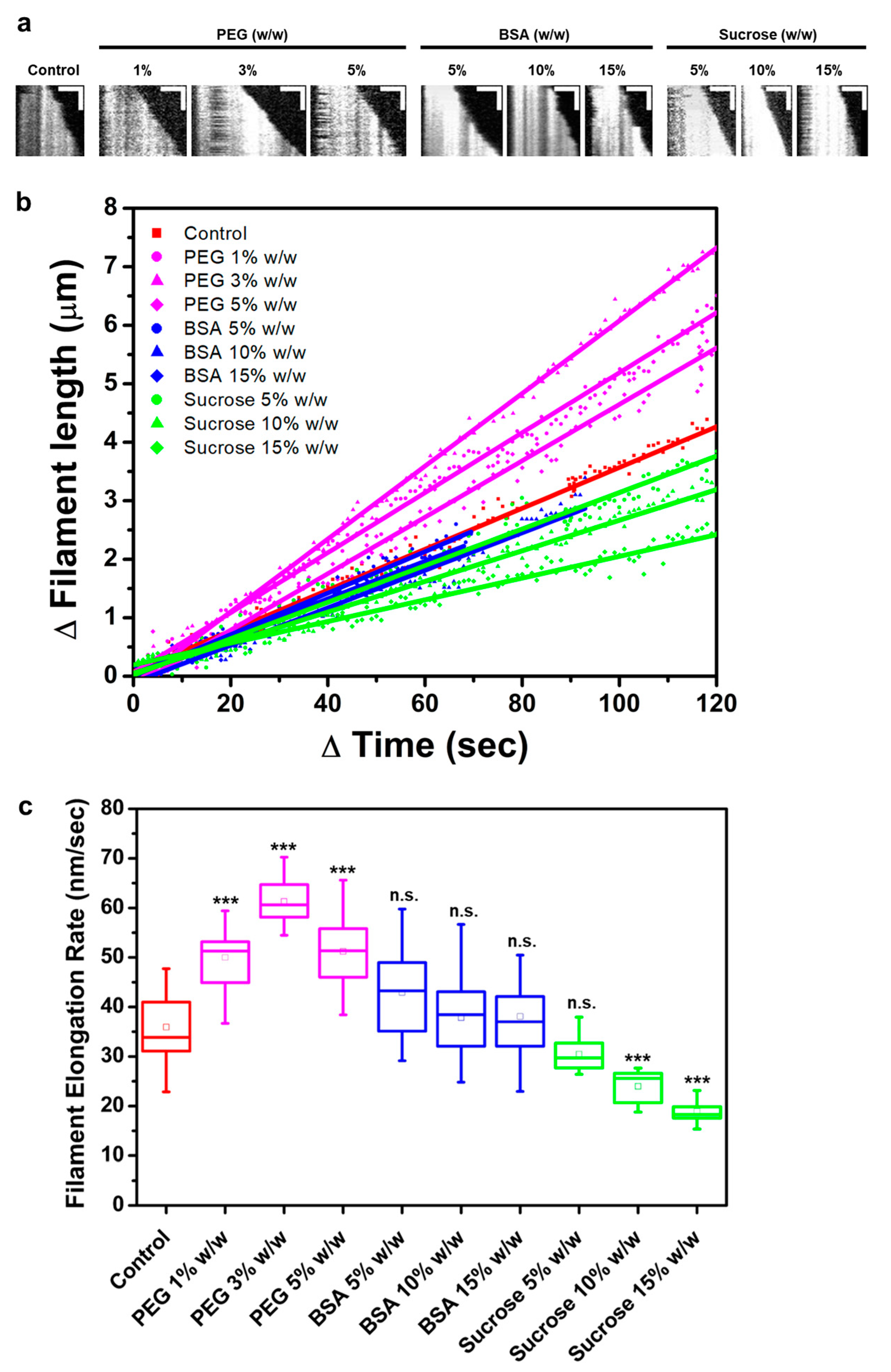 Biomolecules 13 00786 g002 Biomolecules 13 00786 g002