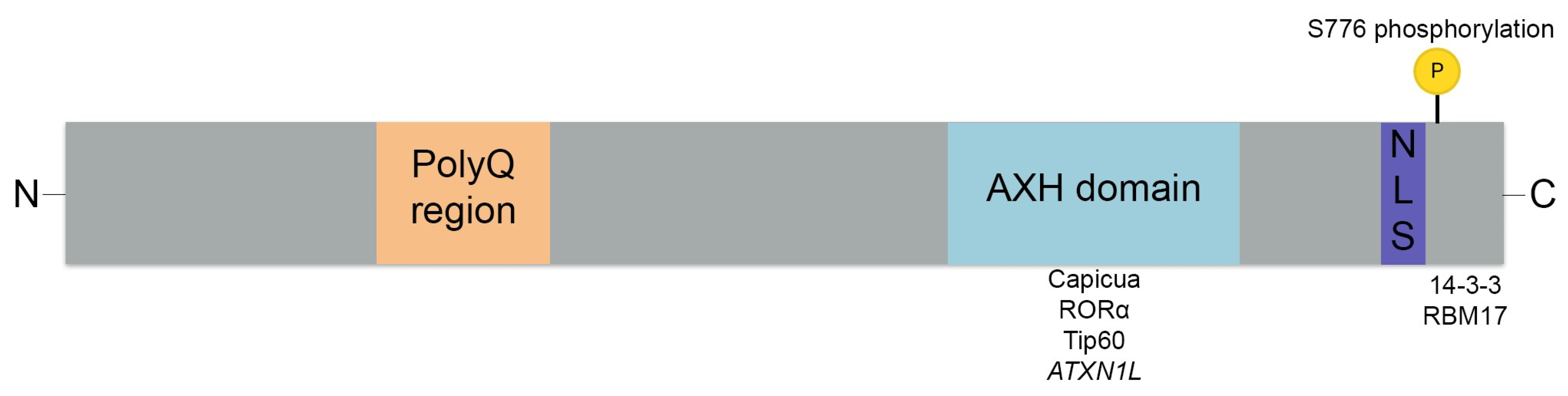 Biomolecules 13 00788 g001 Biomolecules 13 00788 g001