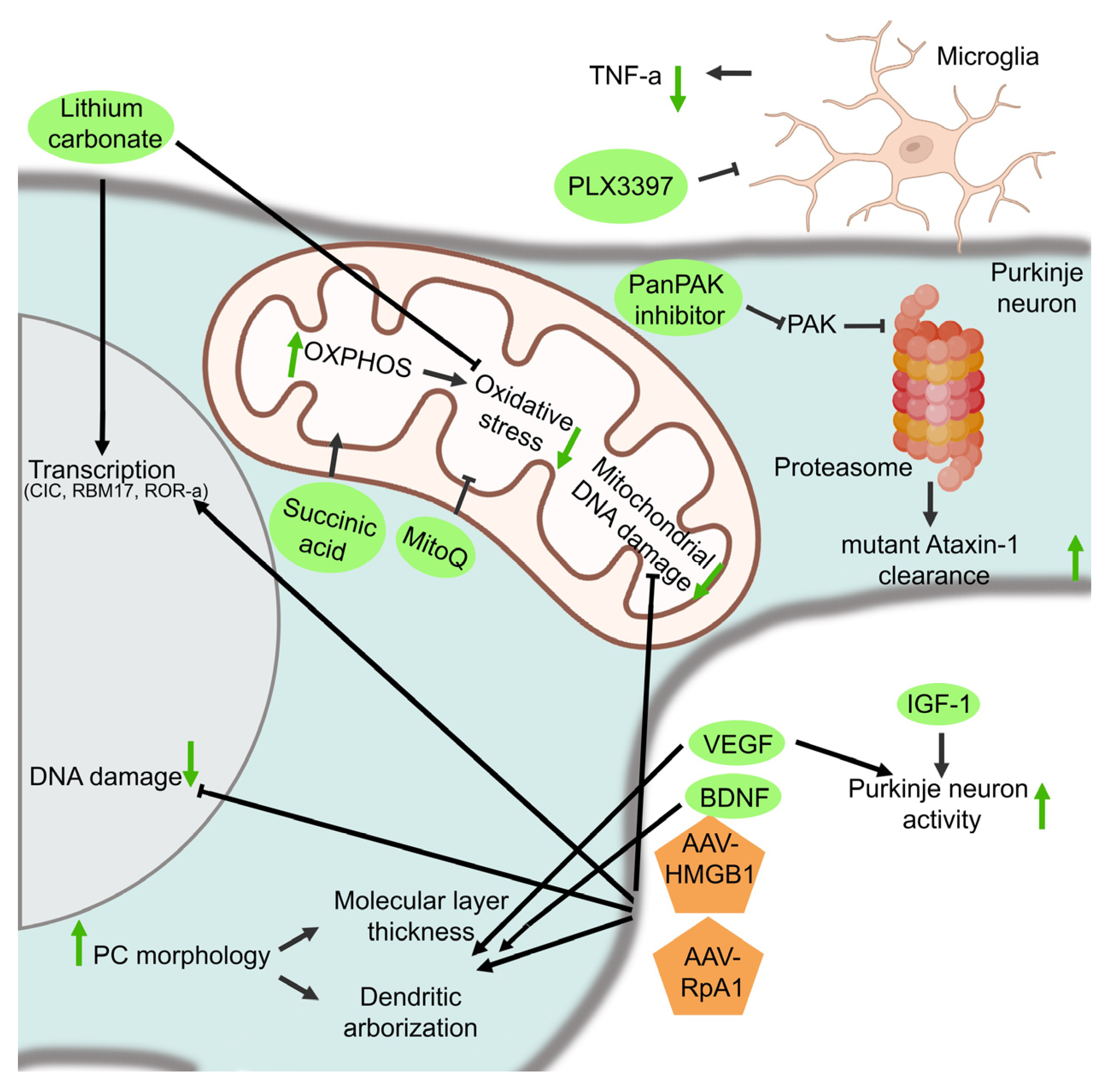 Biomolecules 13 00788 g005 Biomolecules 13 00788 g005