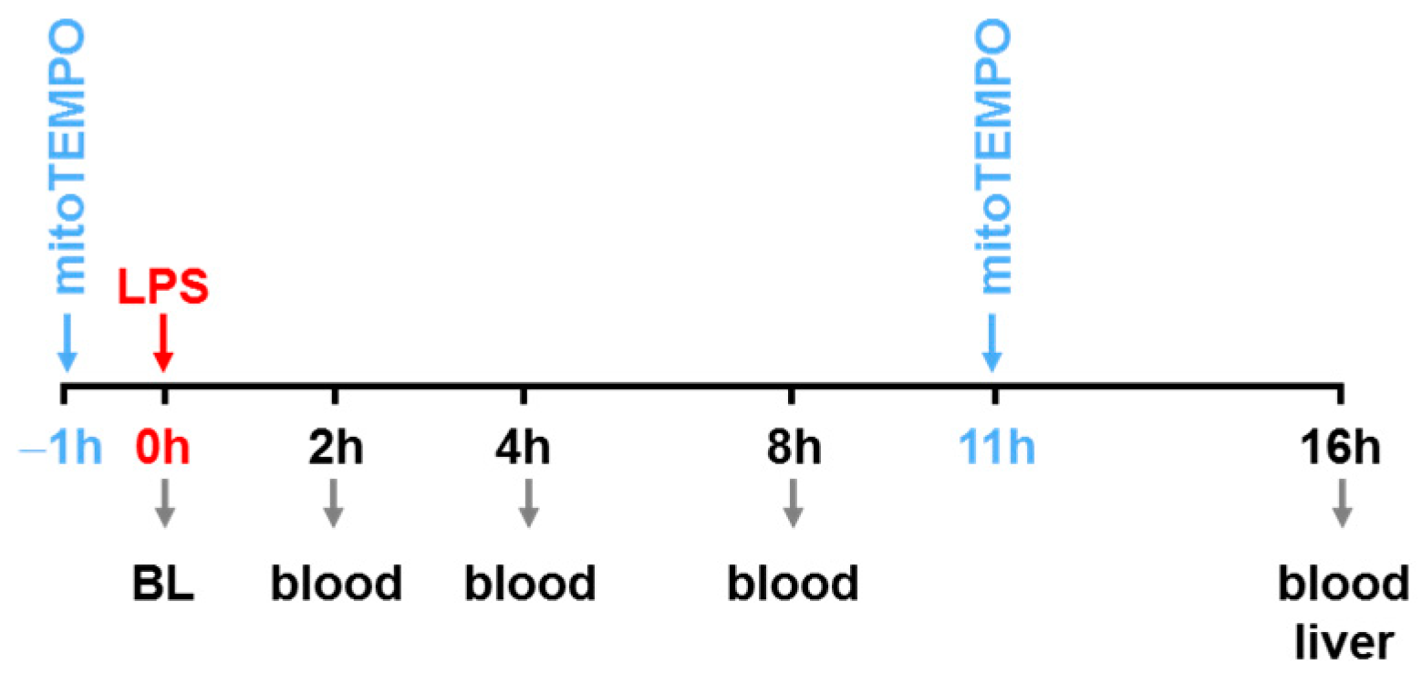 Biomolecules 13 00794 g001