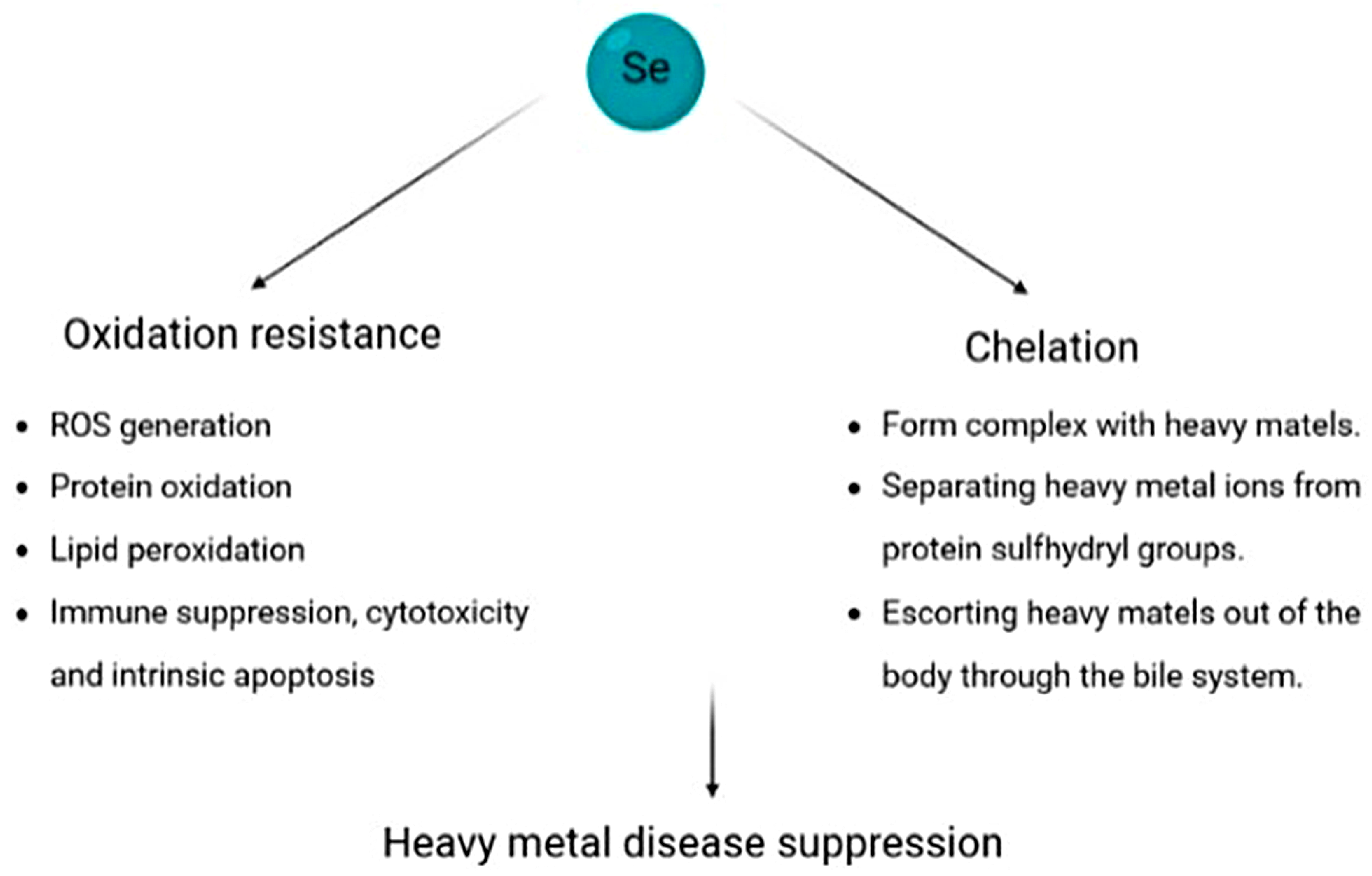 Selenium and Selenoproteins in Health