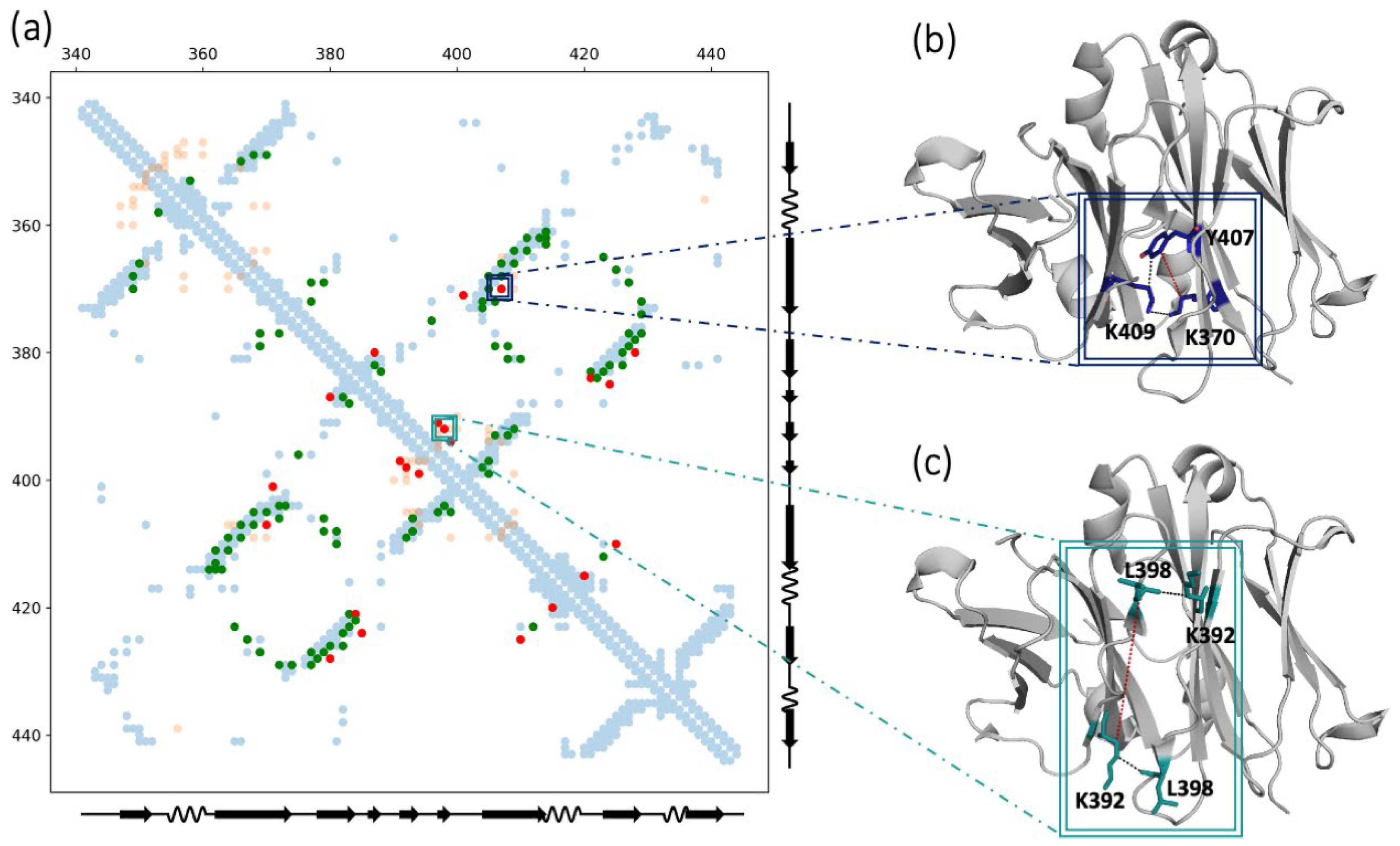 Biomolecules 13 00801 g002