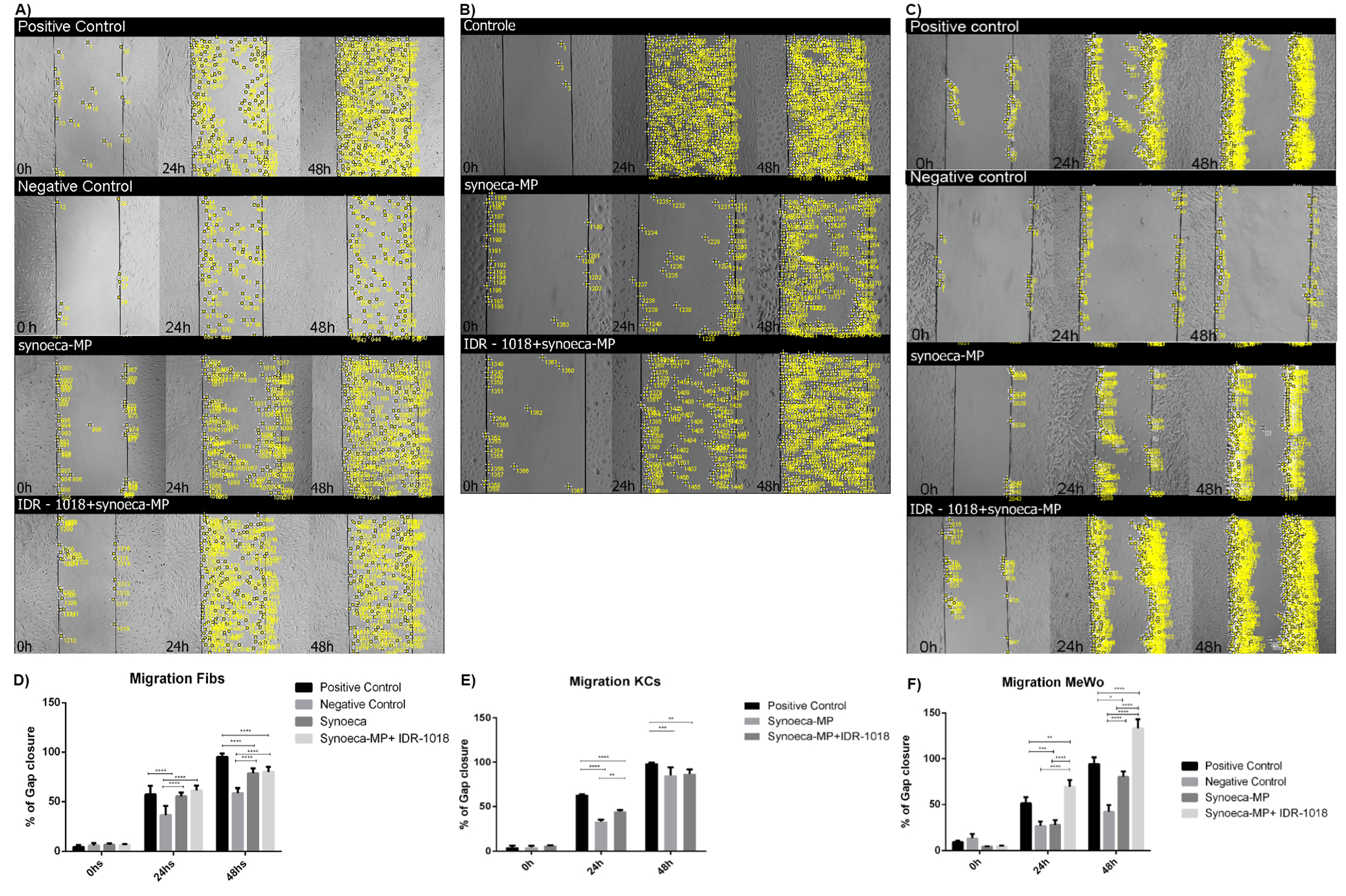 Biomolecules 13 00804 g003