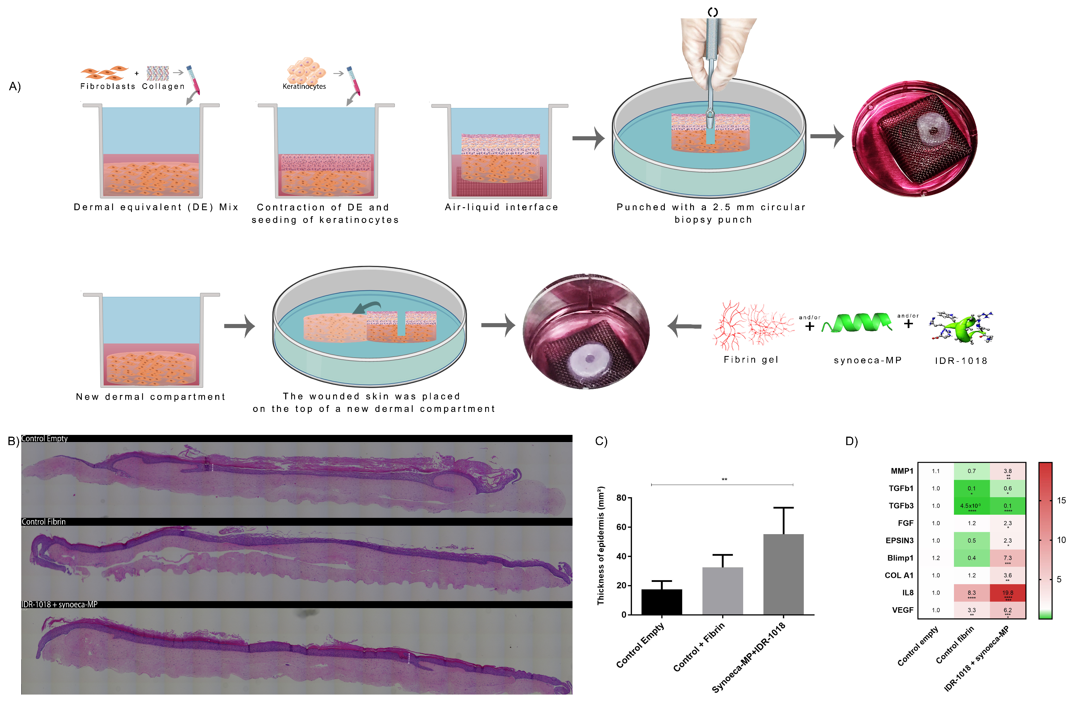 Biomolecules 13 00804 g005