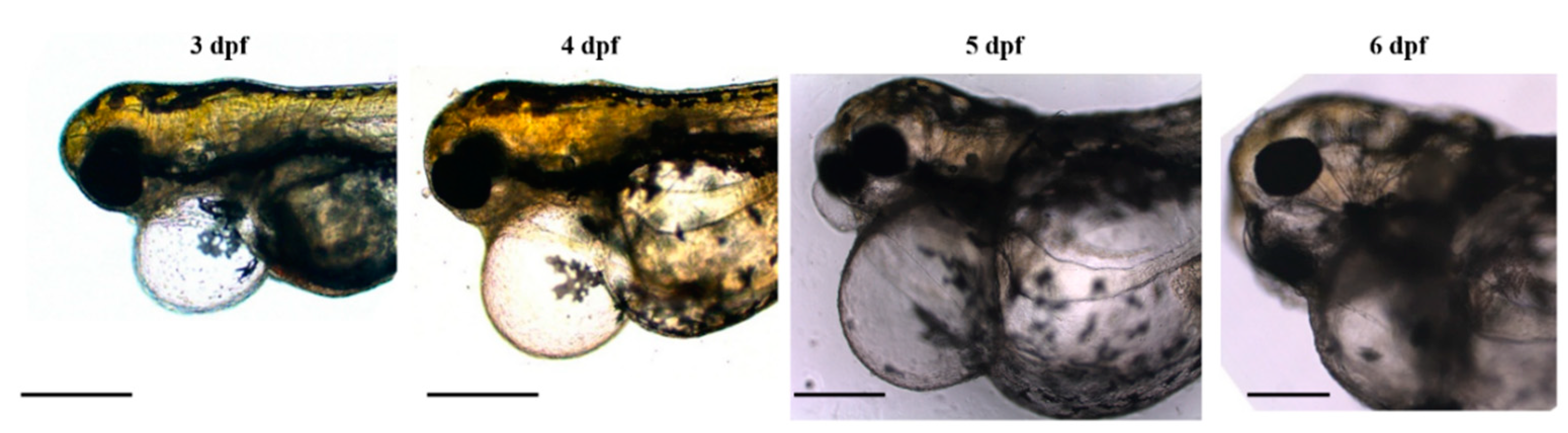 Biomolecules 13 00805 g002 Biomolecules 13 00805 g002