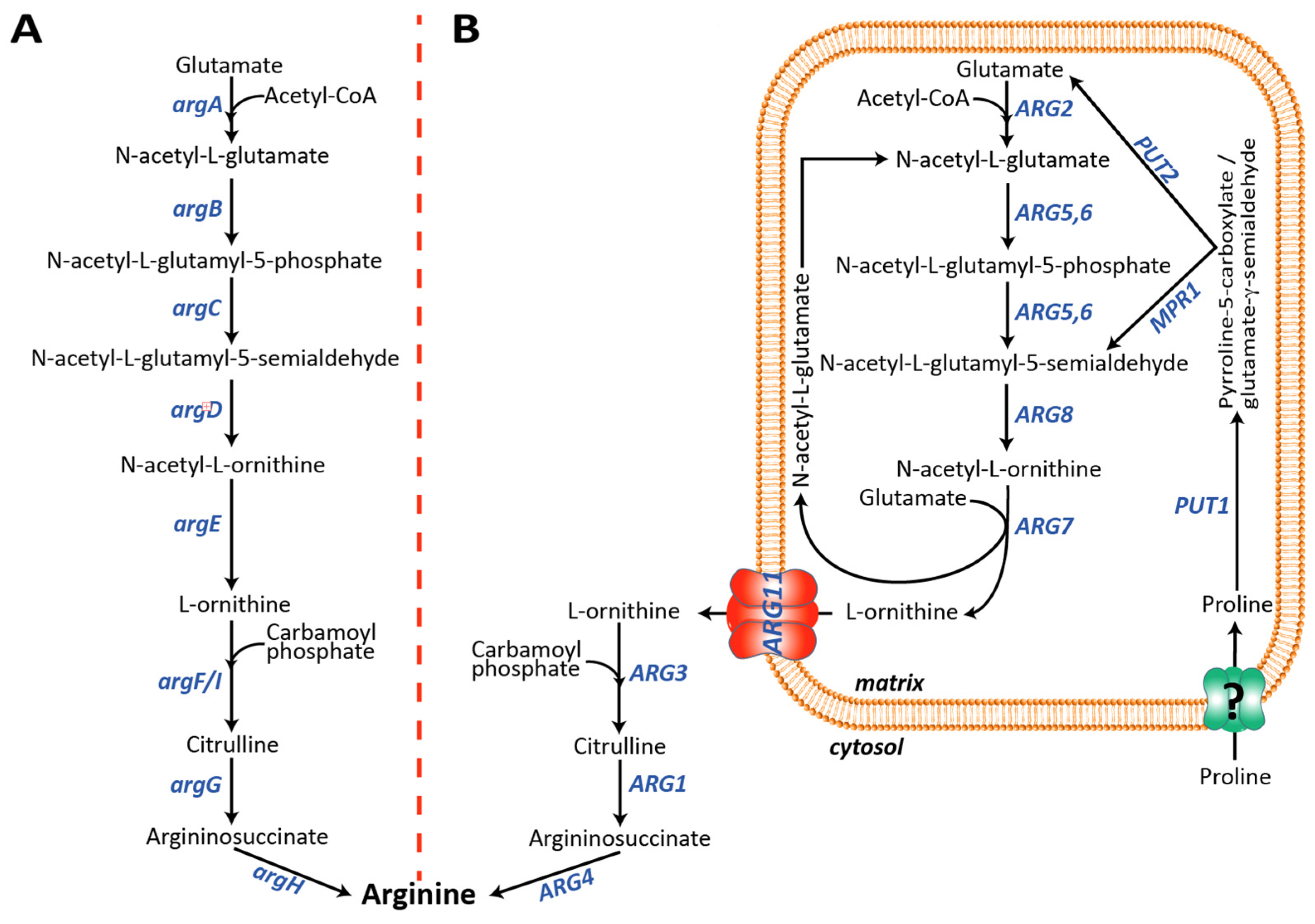 Biomolecules 13 00808 g001 Biomolecules 13 00808 g001