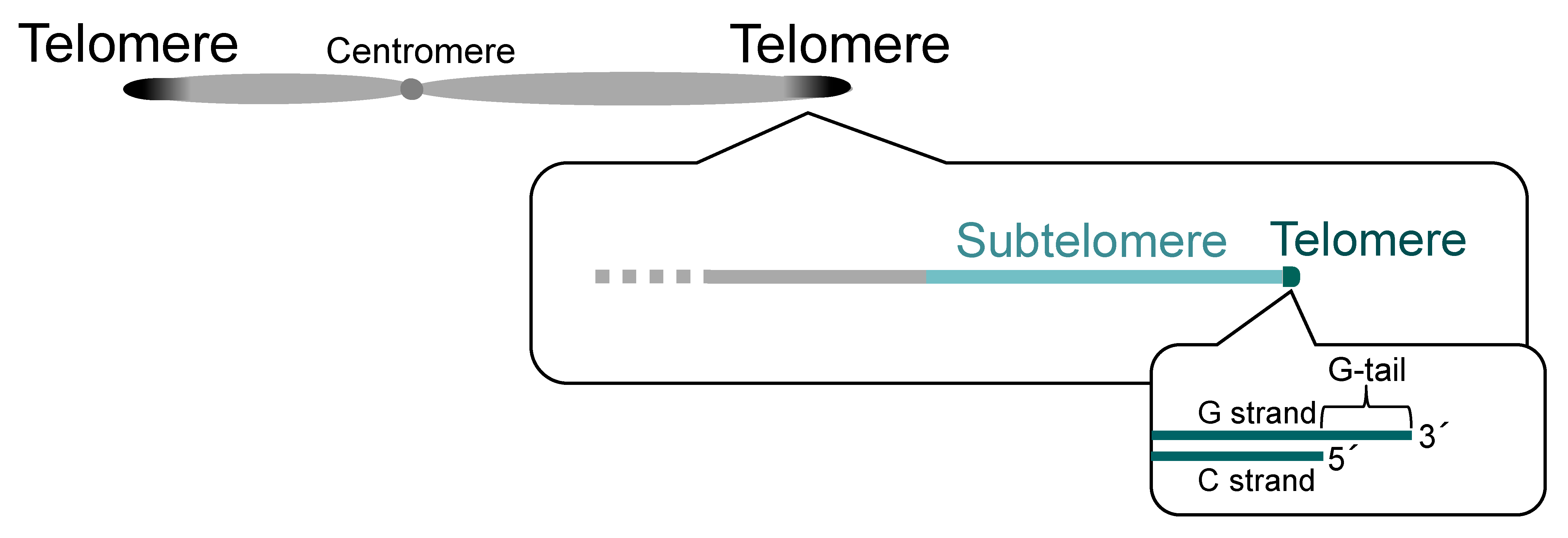 Biomolecules 13 00810 g001 Biomolecules 13 00810 g001