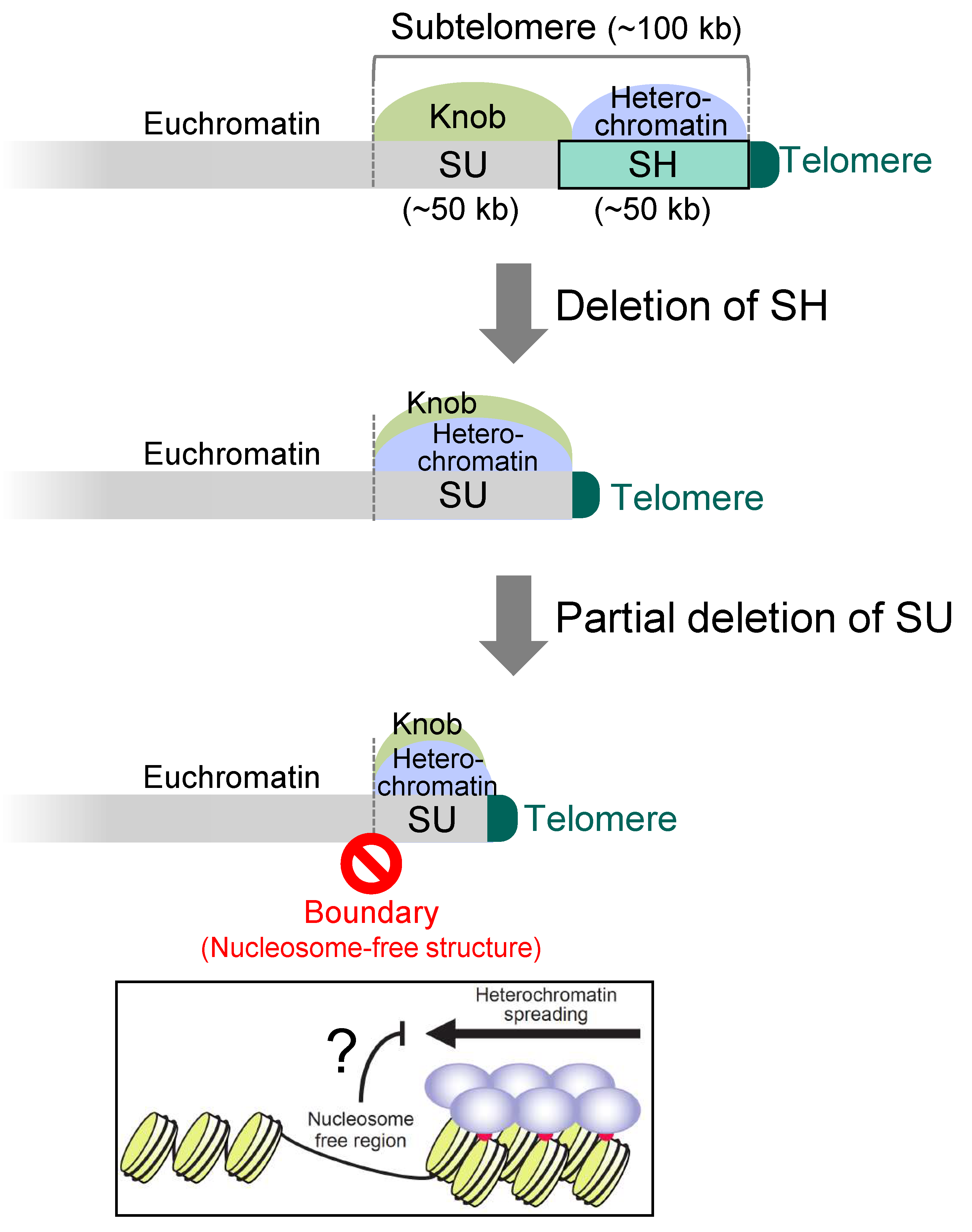 Biomolecules 13 00810 g005 Biomolecules 13 00810 g005