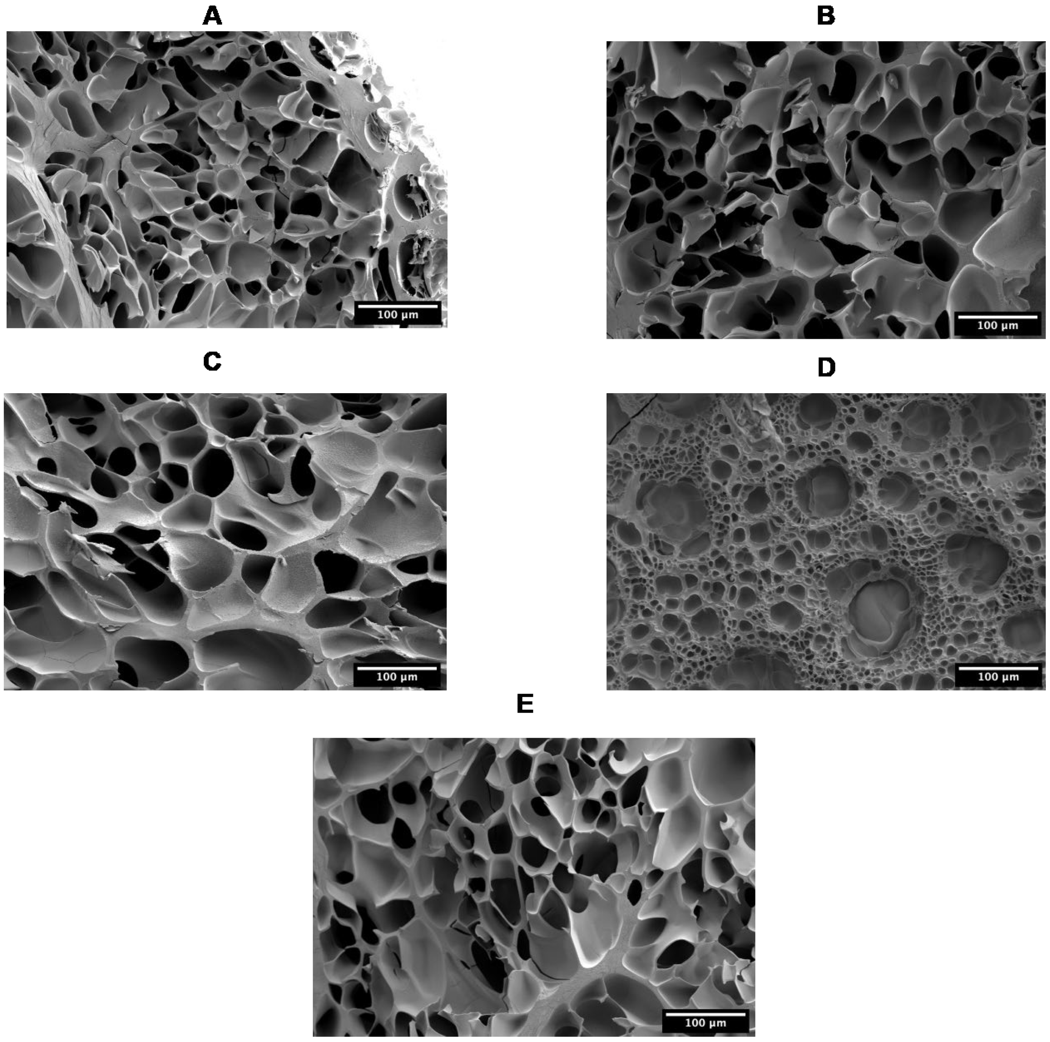 Biomolecules 13 00811 g004 Biomolecules 13 00811 g004