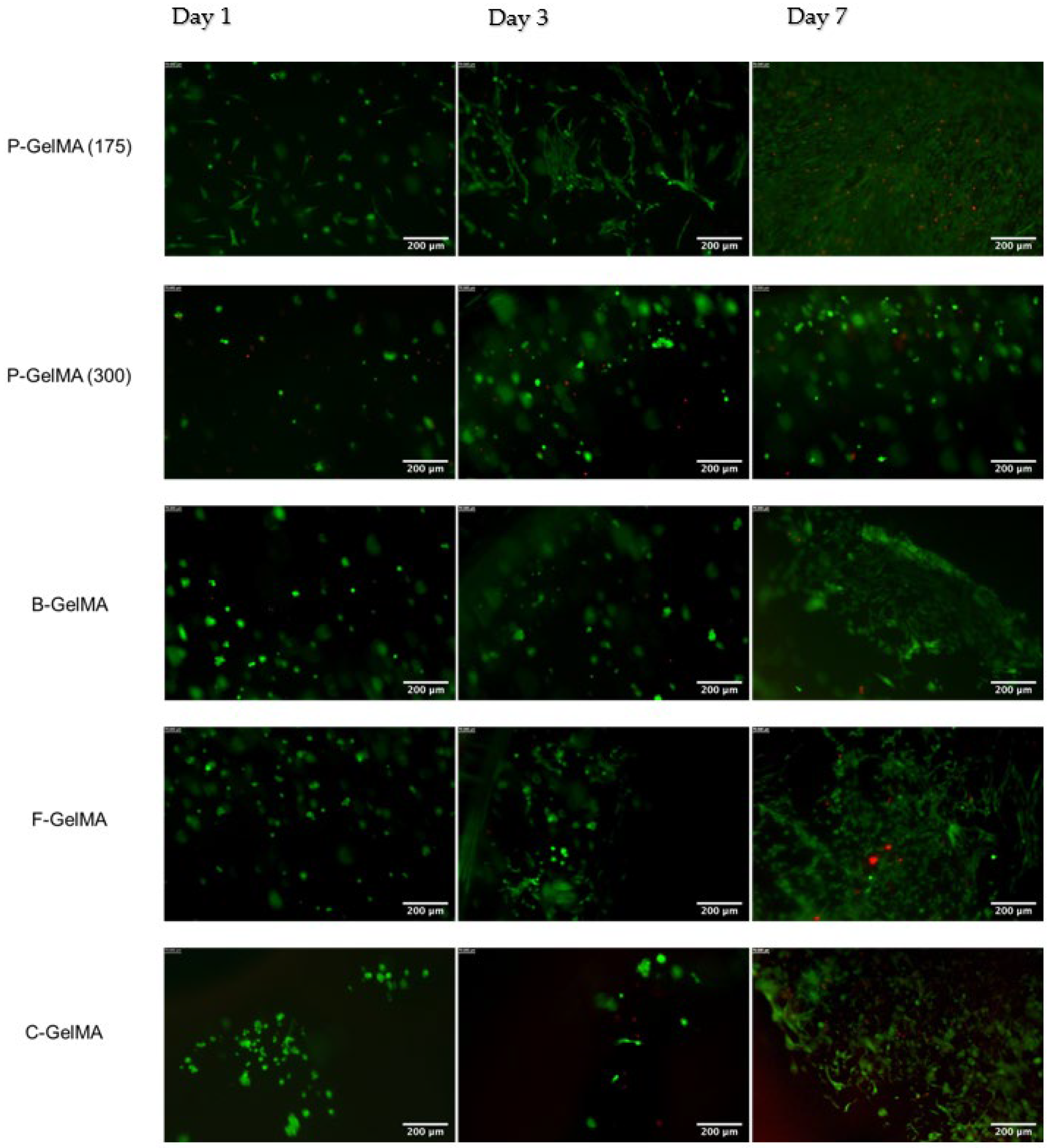 Biomolecules 13 00811 g009 Biomolecules 13 00811 g009