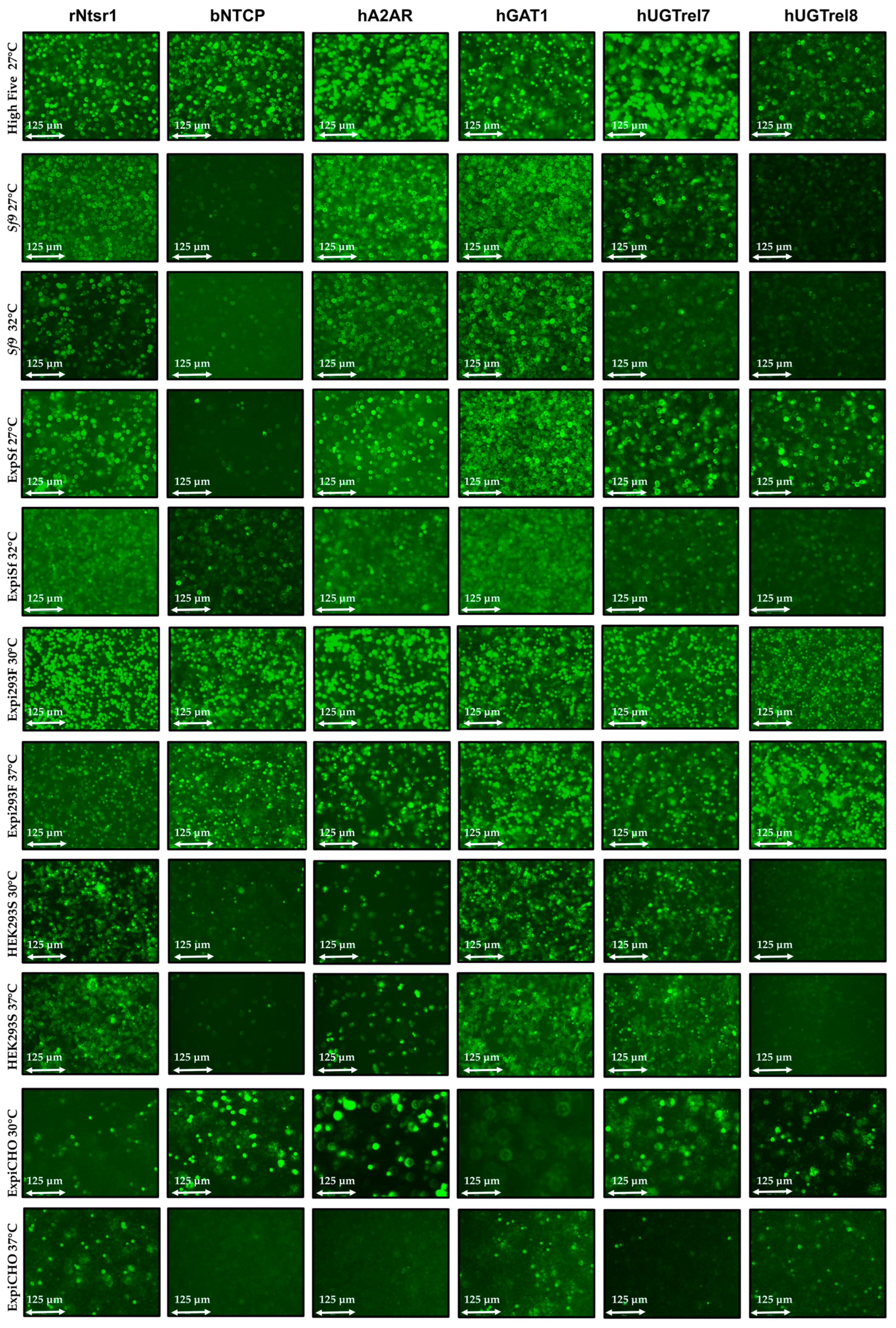 Biomolecules 13 00817 g002 Biomolecules 13 00817 g002