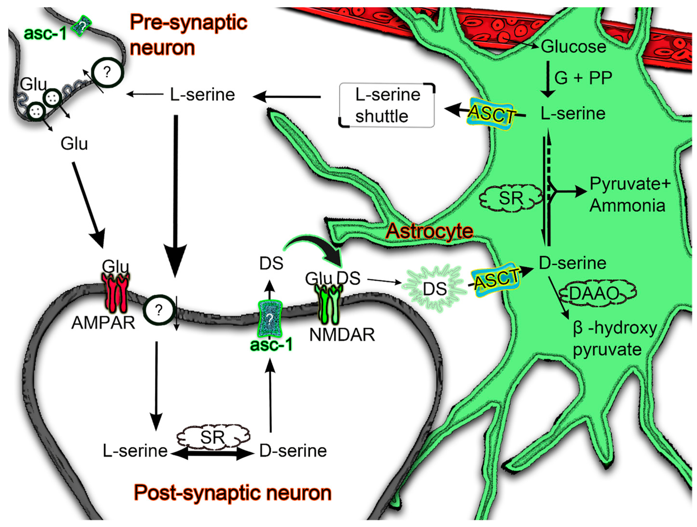 Biomolecules 13 00819 g007 Biomolecules 13 00819 g007
