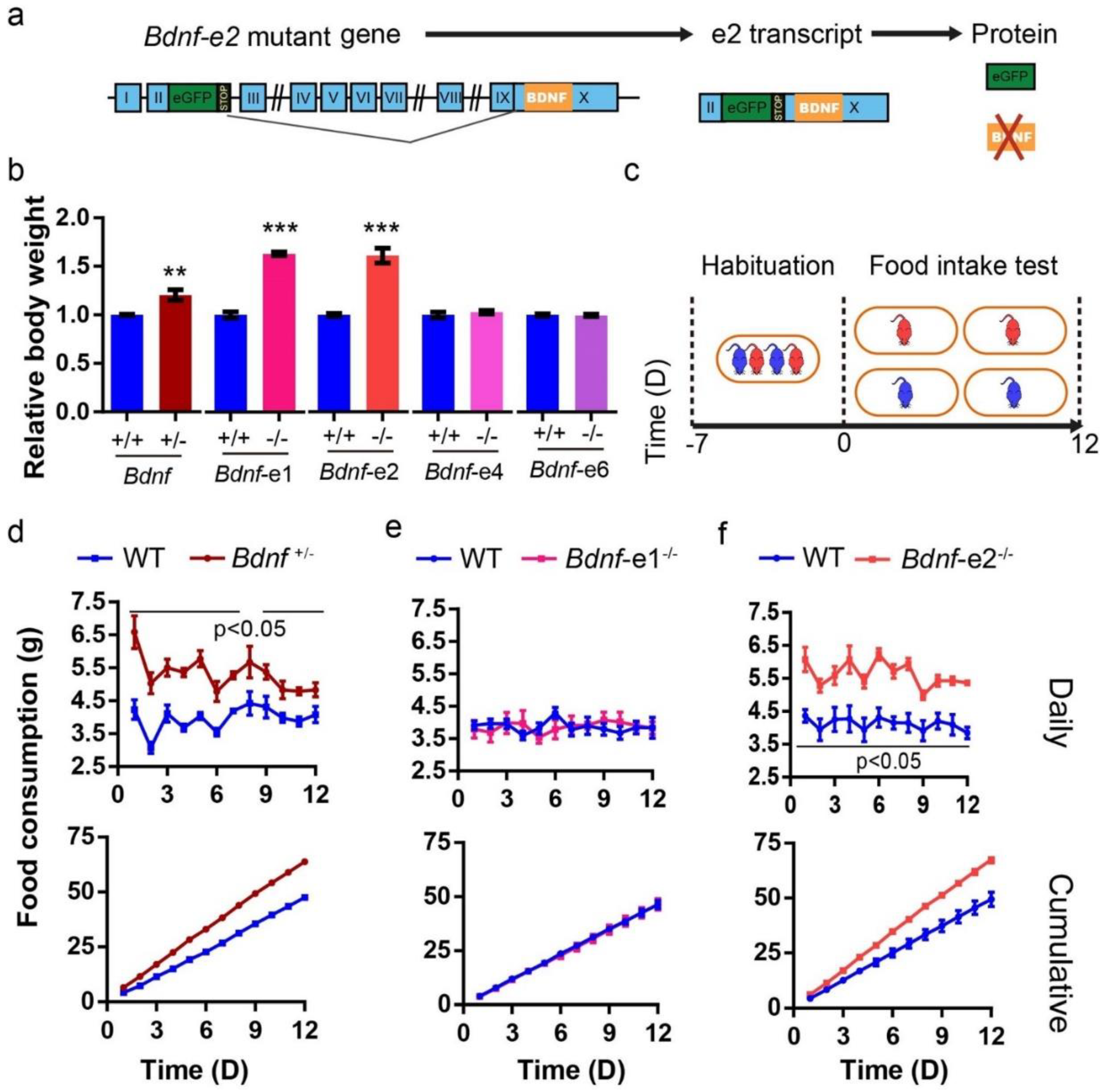 Biomolecules 13 00822 g001
