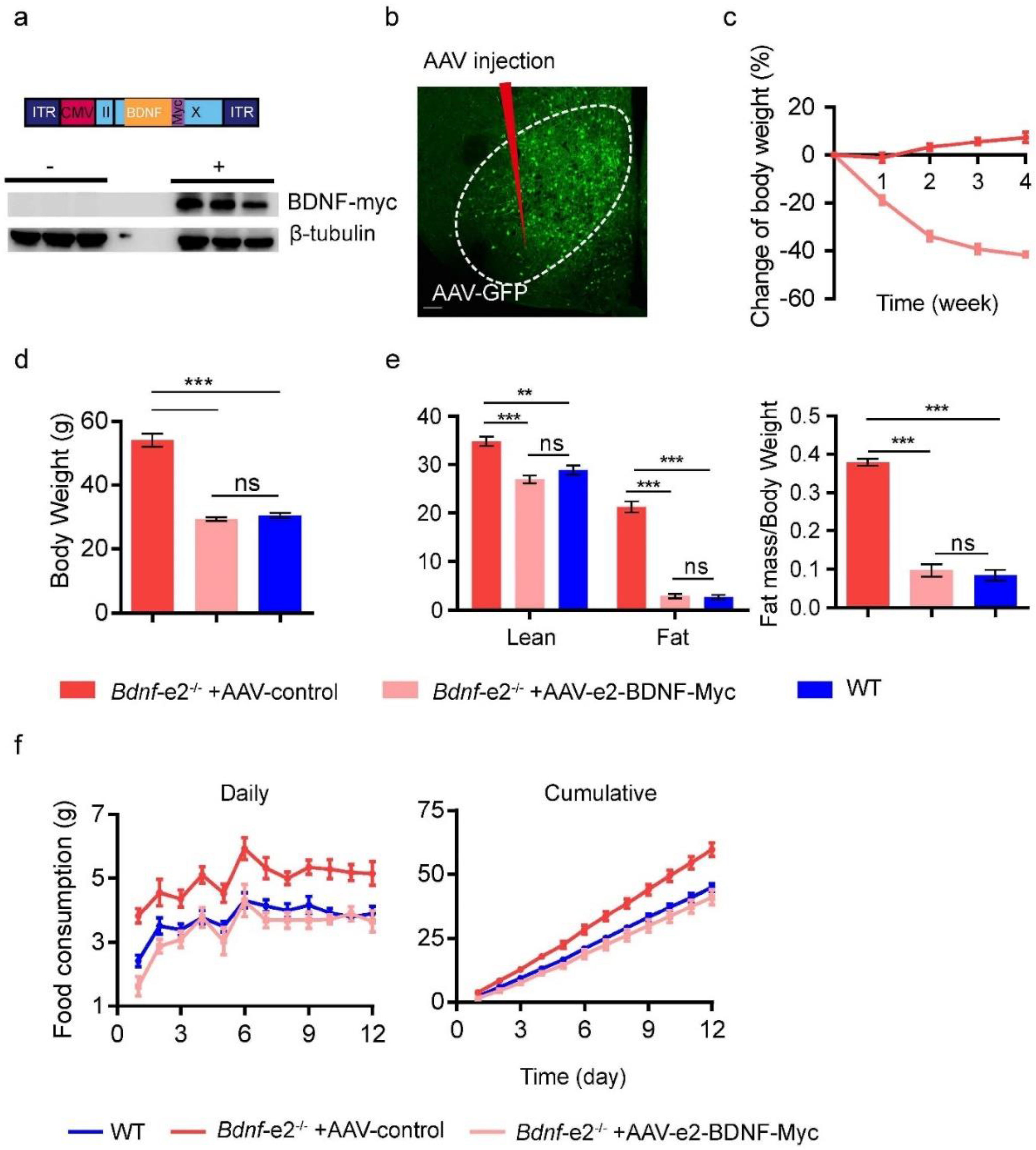 Biomolecules 13 00822 g004