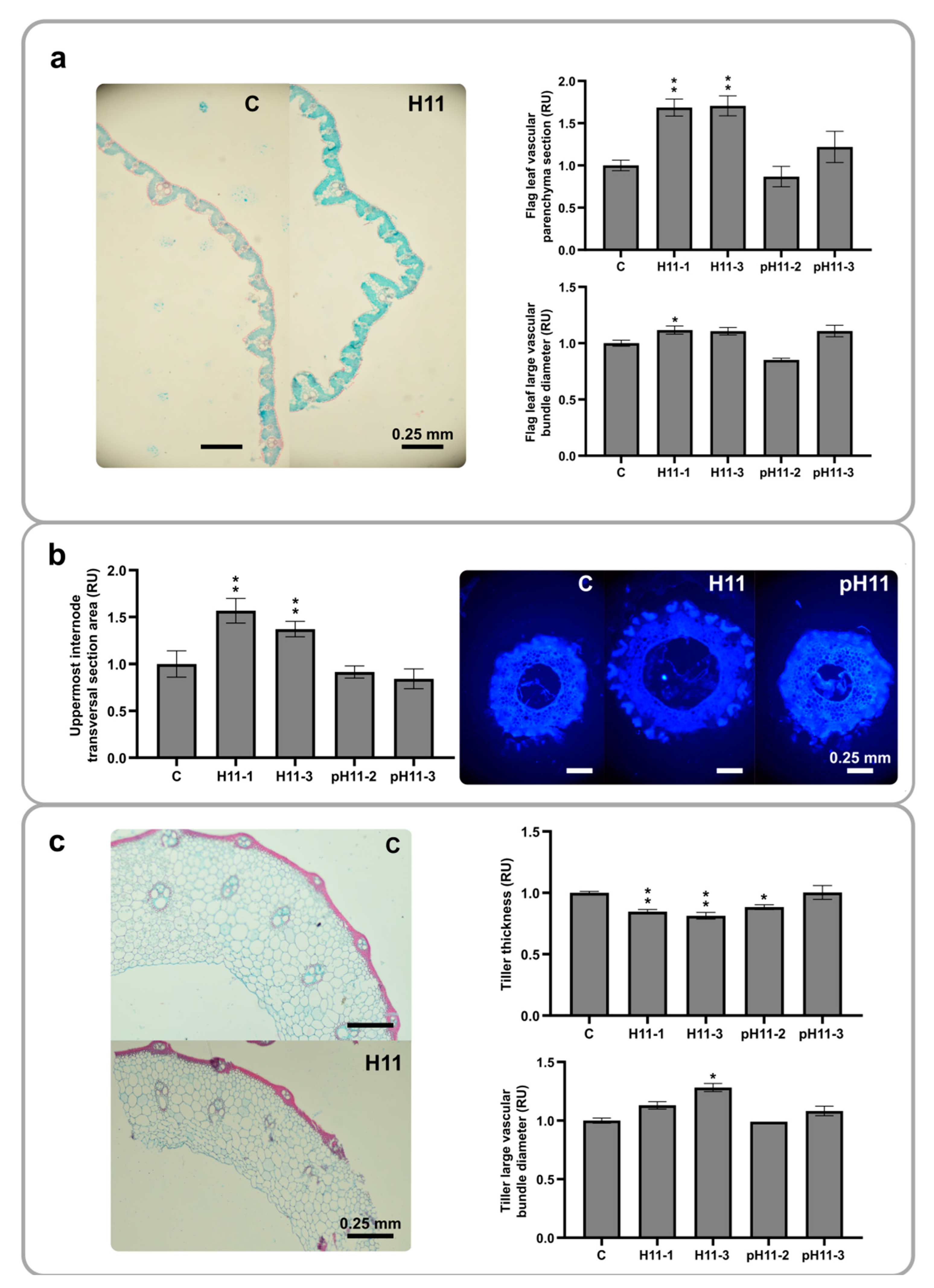 Biomolecules 13 00826 g004