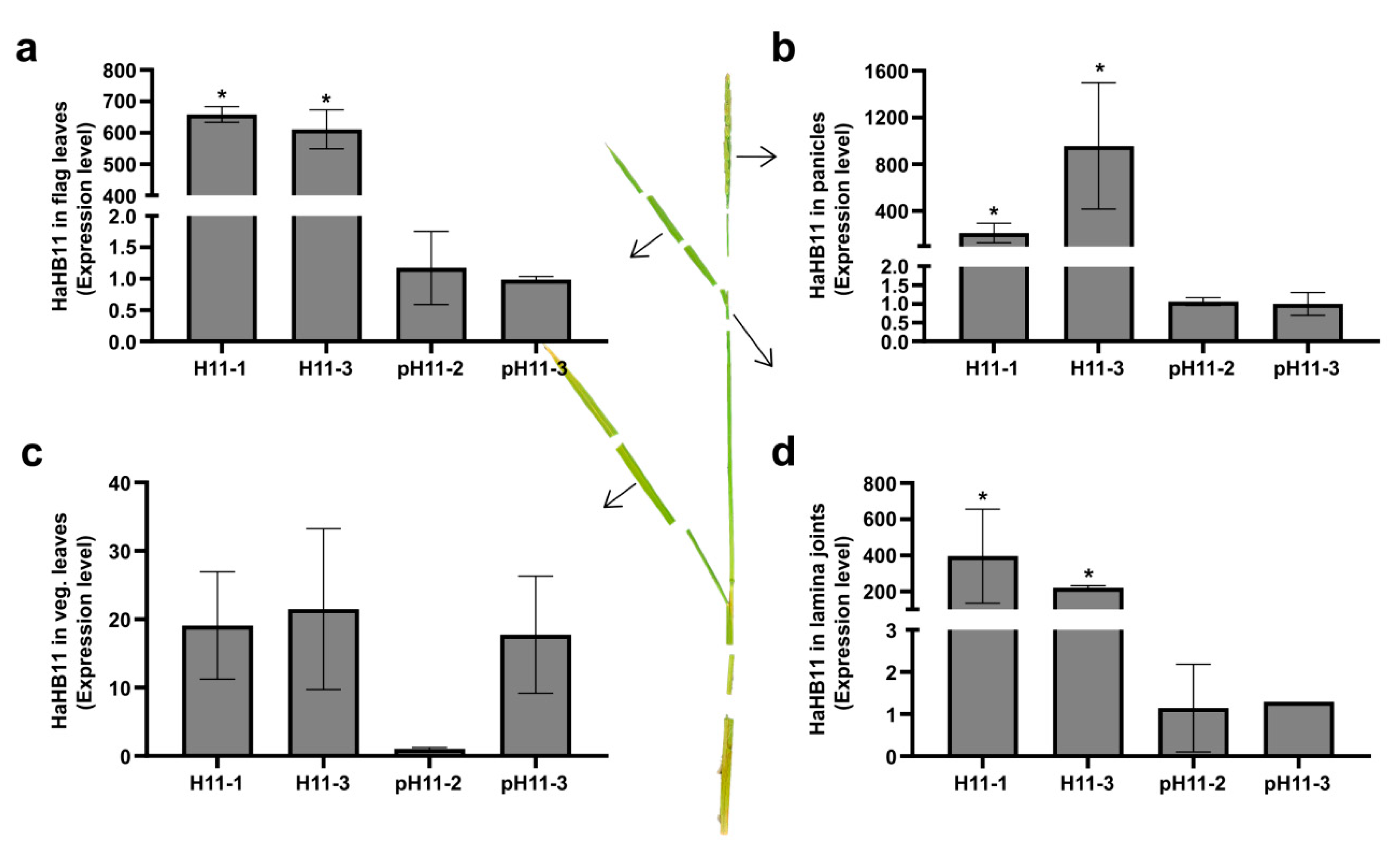 Biomolecules 13 00826 g006