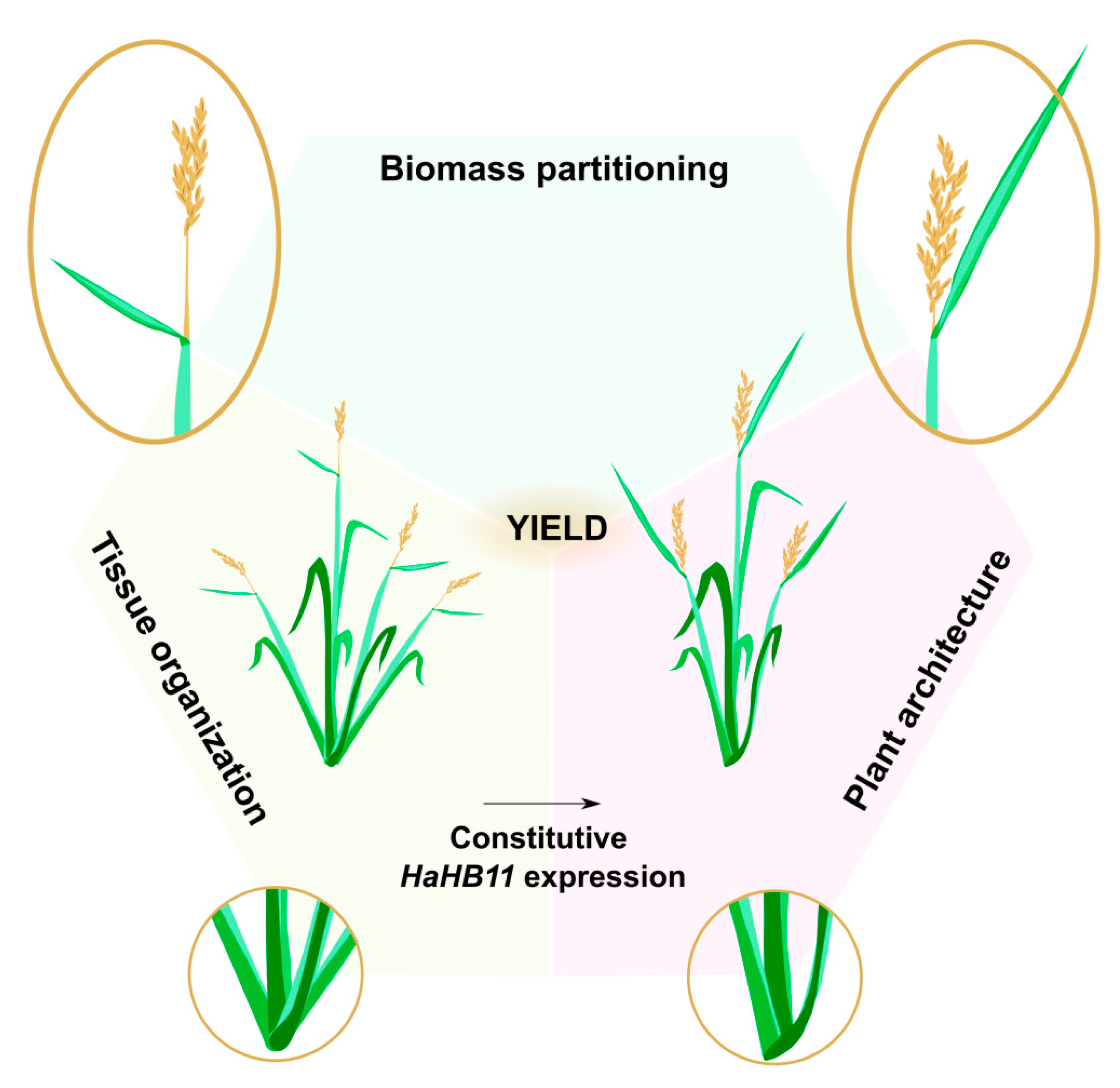 Biomolecules 13 00826 g007