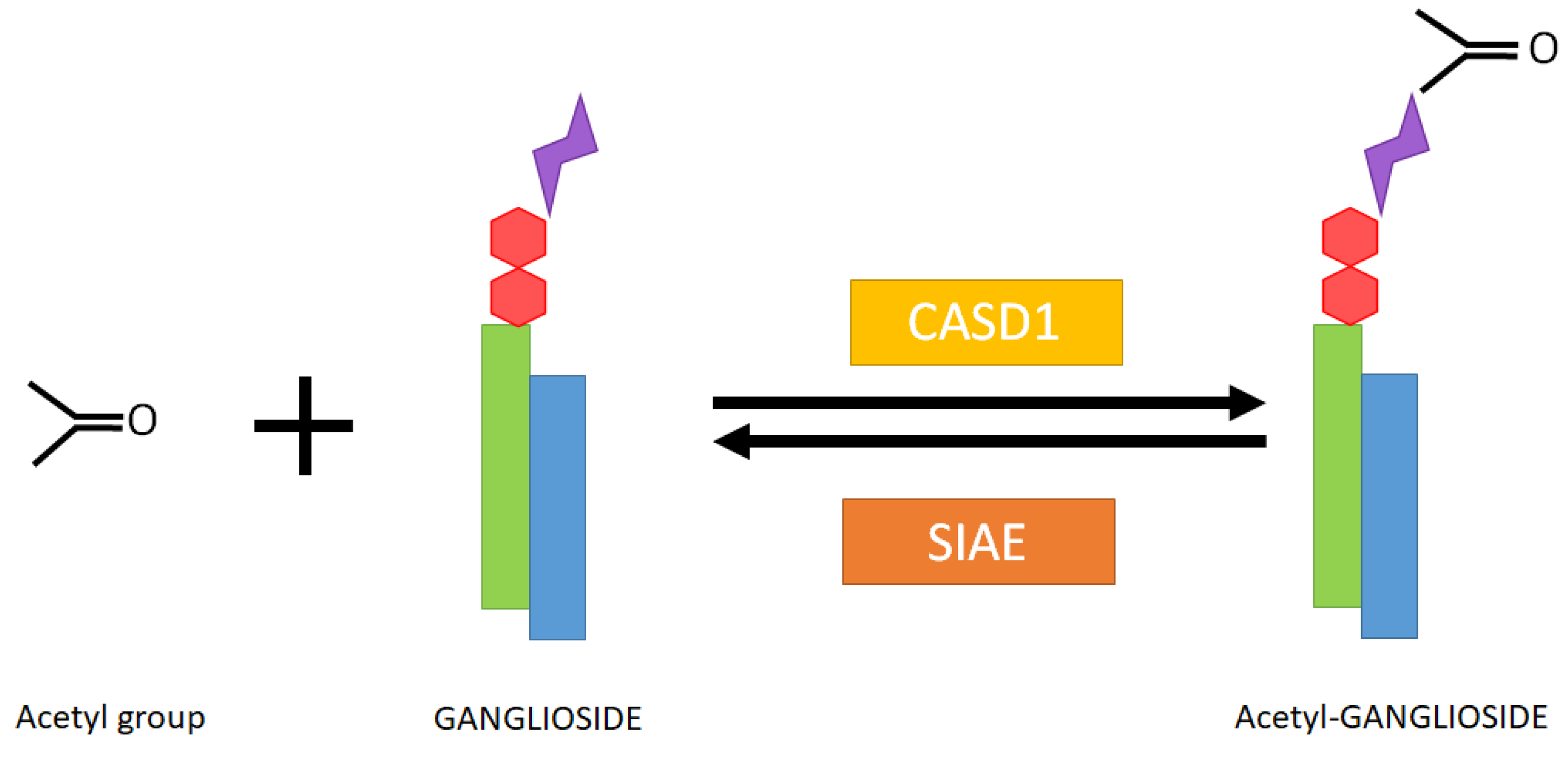 Biomolecules 13 00827 g002 Biomolecules 13 00827 g002