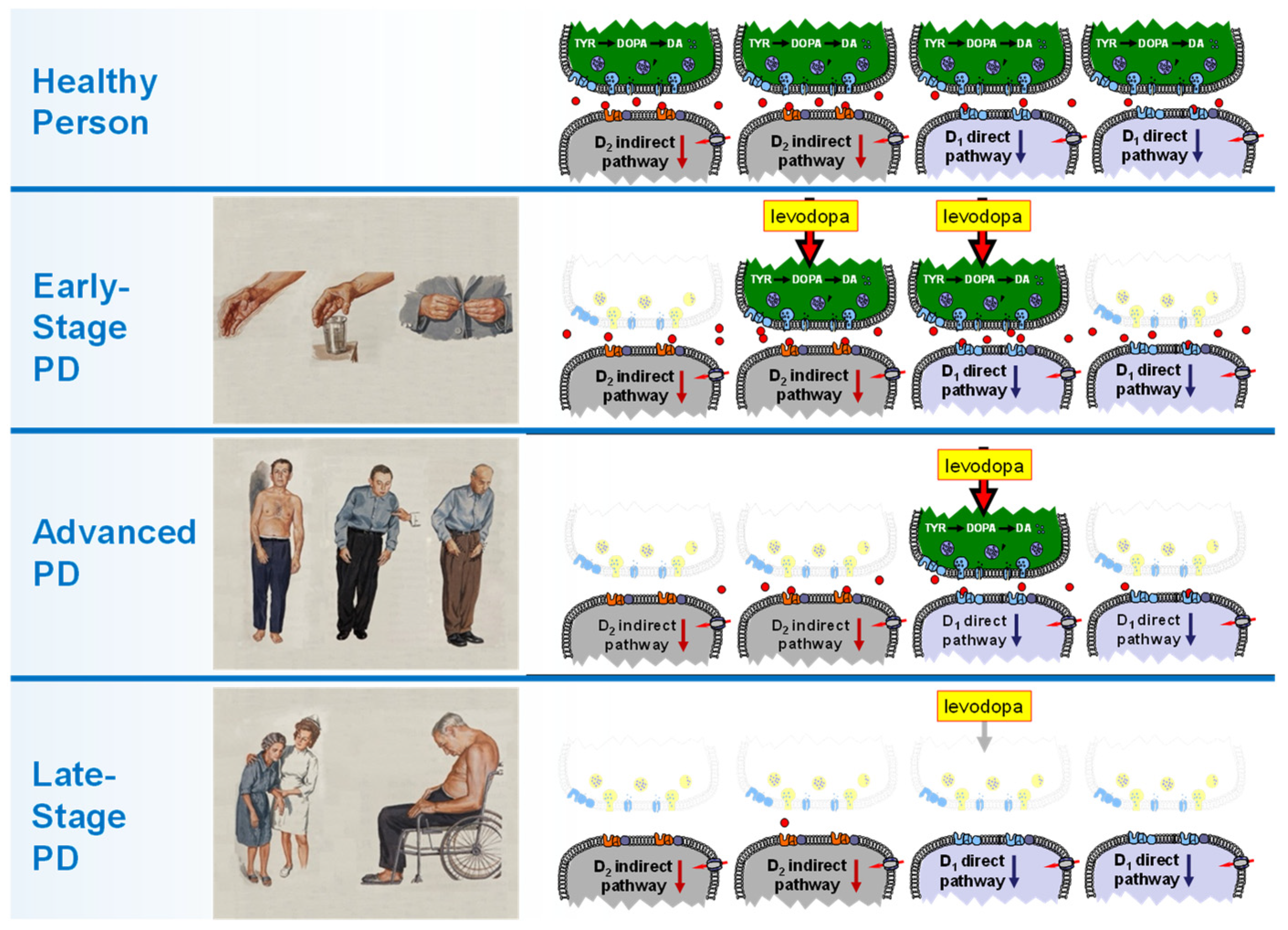Biomolecules 13 00829 g002 Biomolecules 13 00829 g002