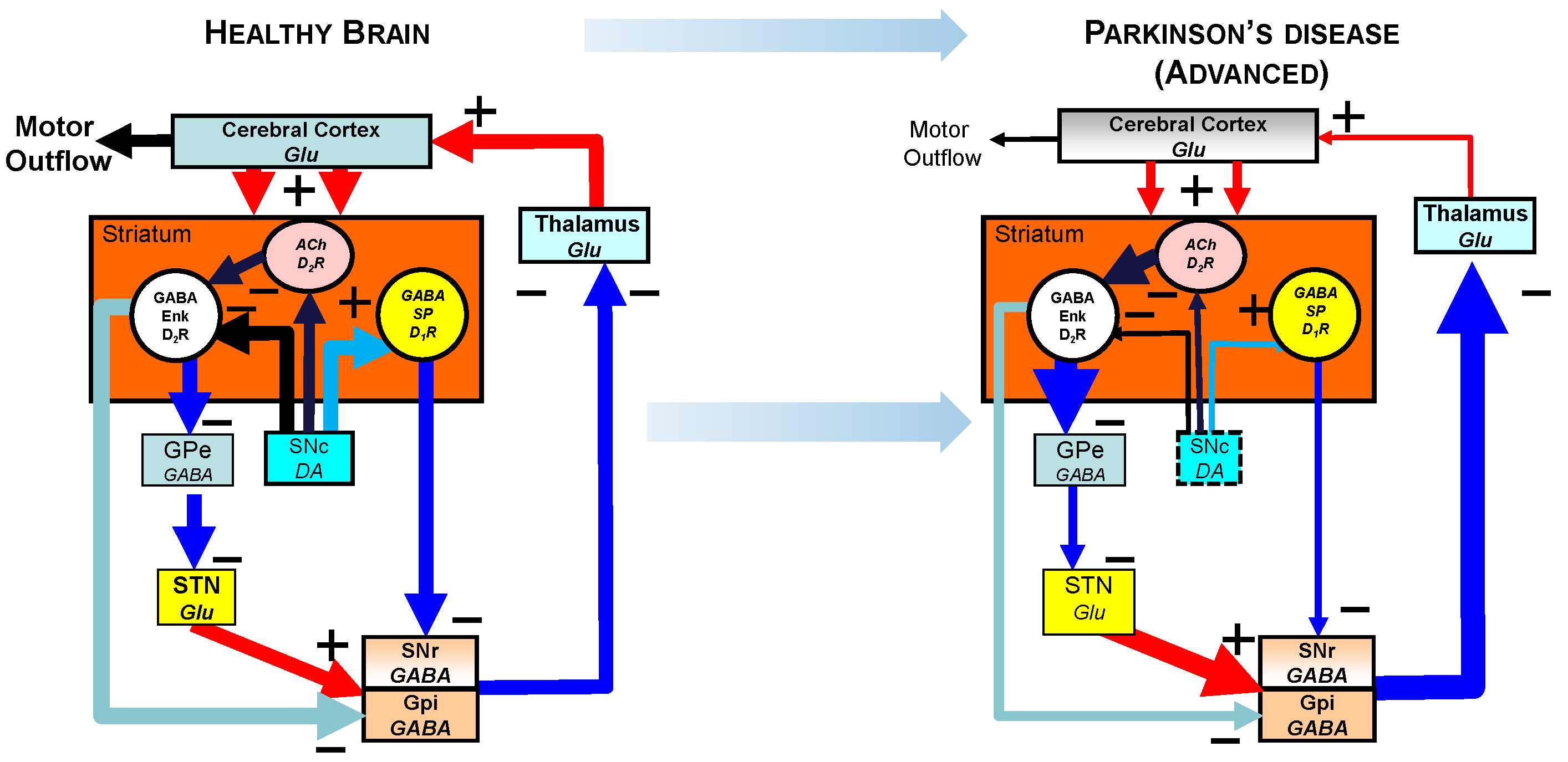 Biomolecules 13 00829 g003 Biomolecules 13 00829 g003