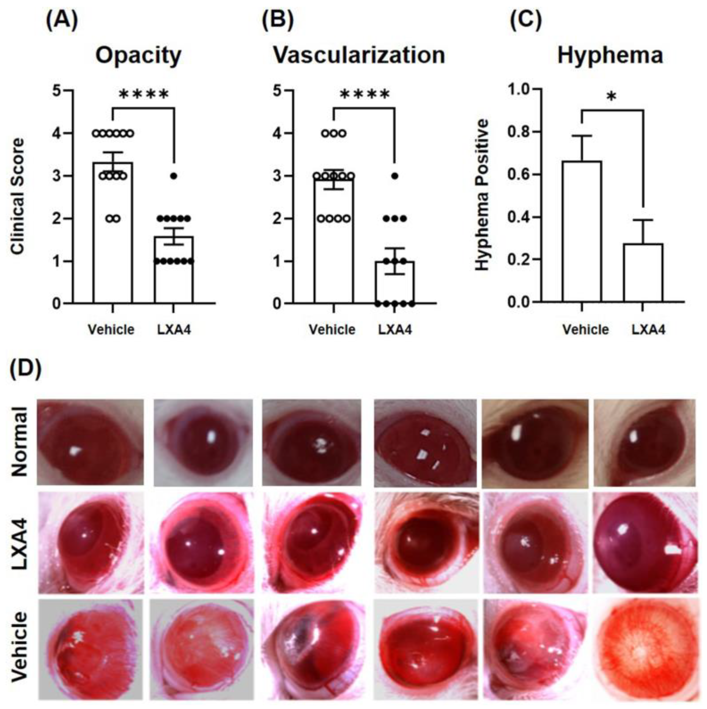 Biomolecules 13 00831 g001