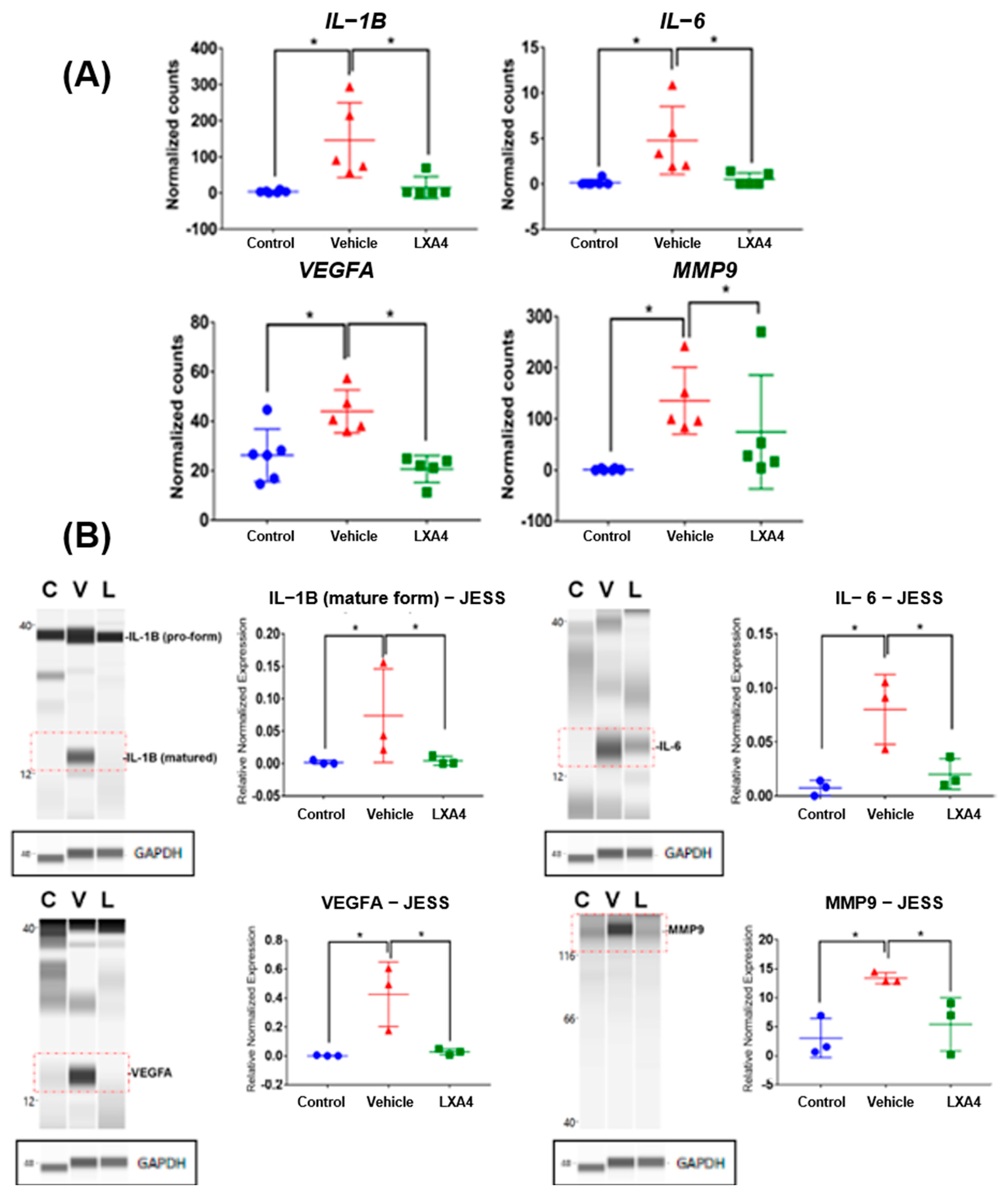 Biomolecules 13 00831 g002