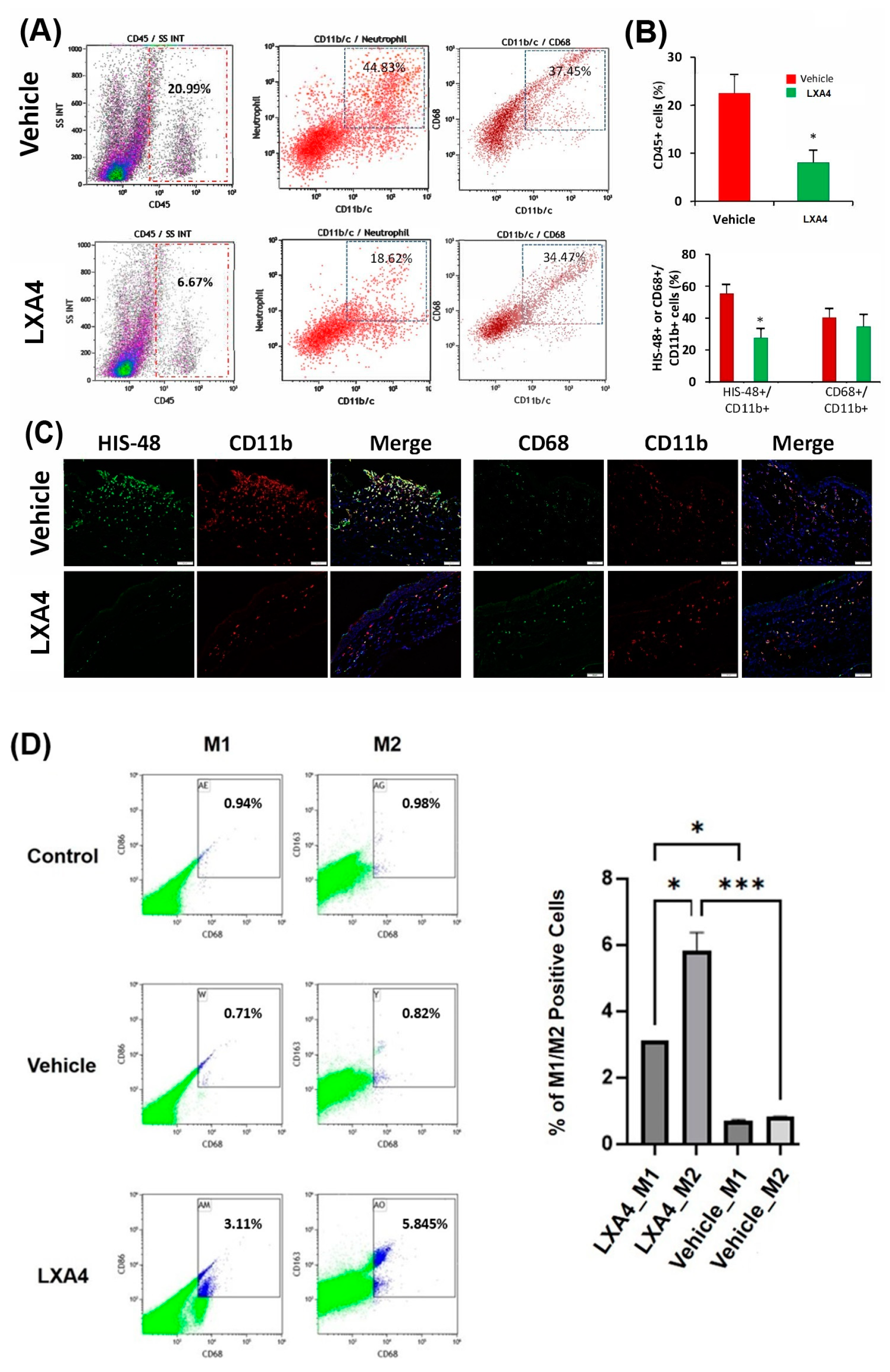 Biomolecules 13 00831 g004