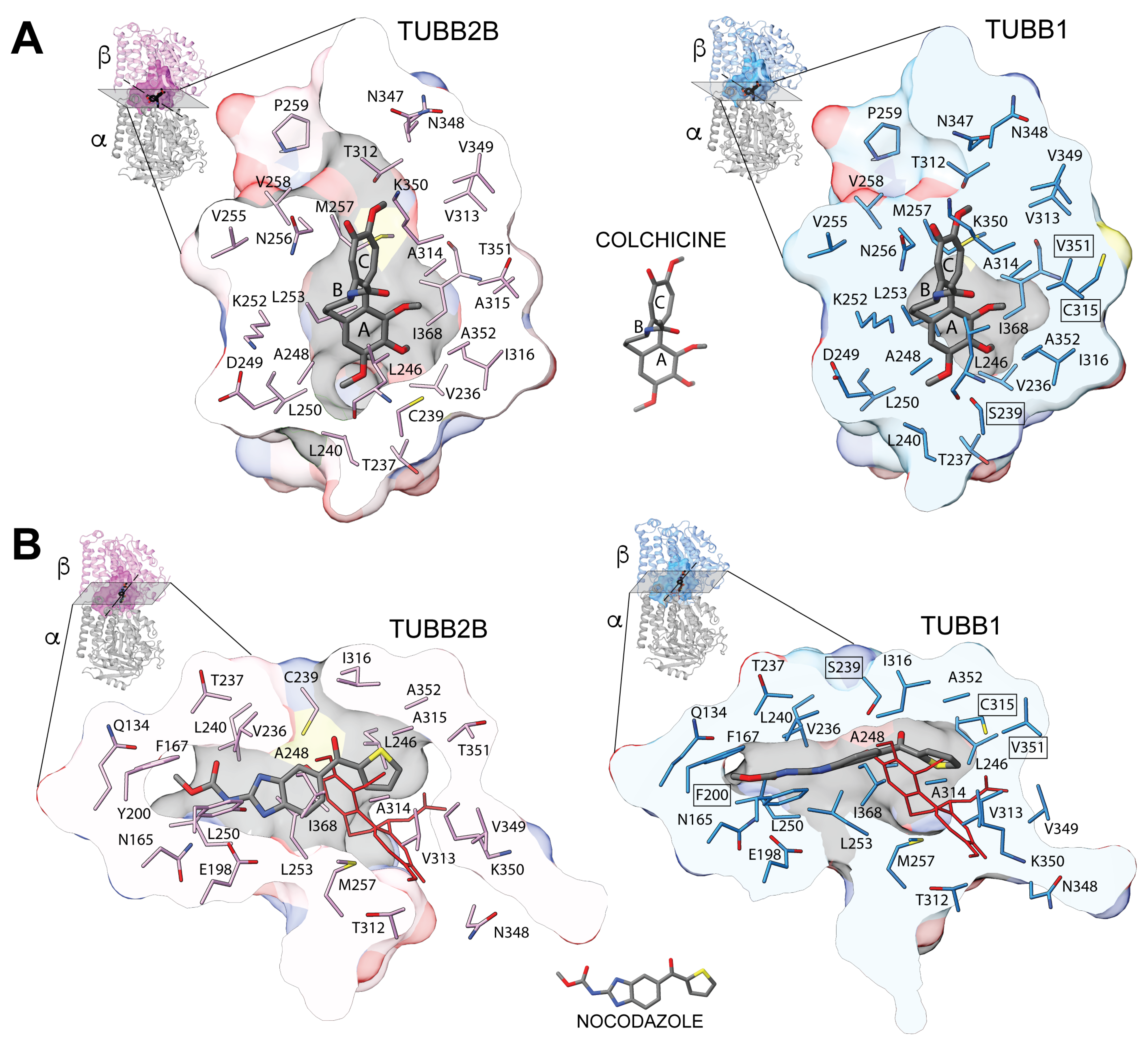 その他 N ひげまんじゅう 忍者フィギュア アミューズ Hige Manju ninja