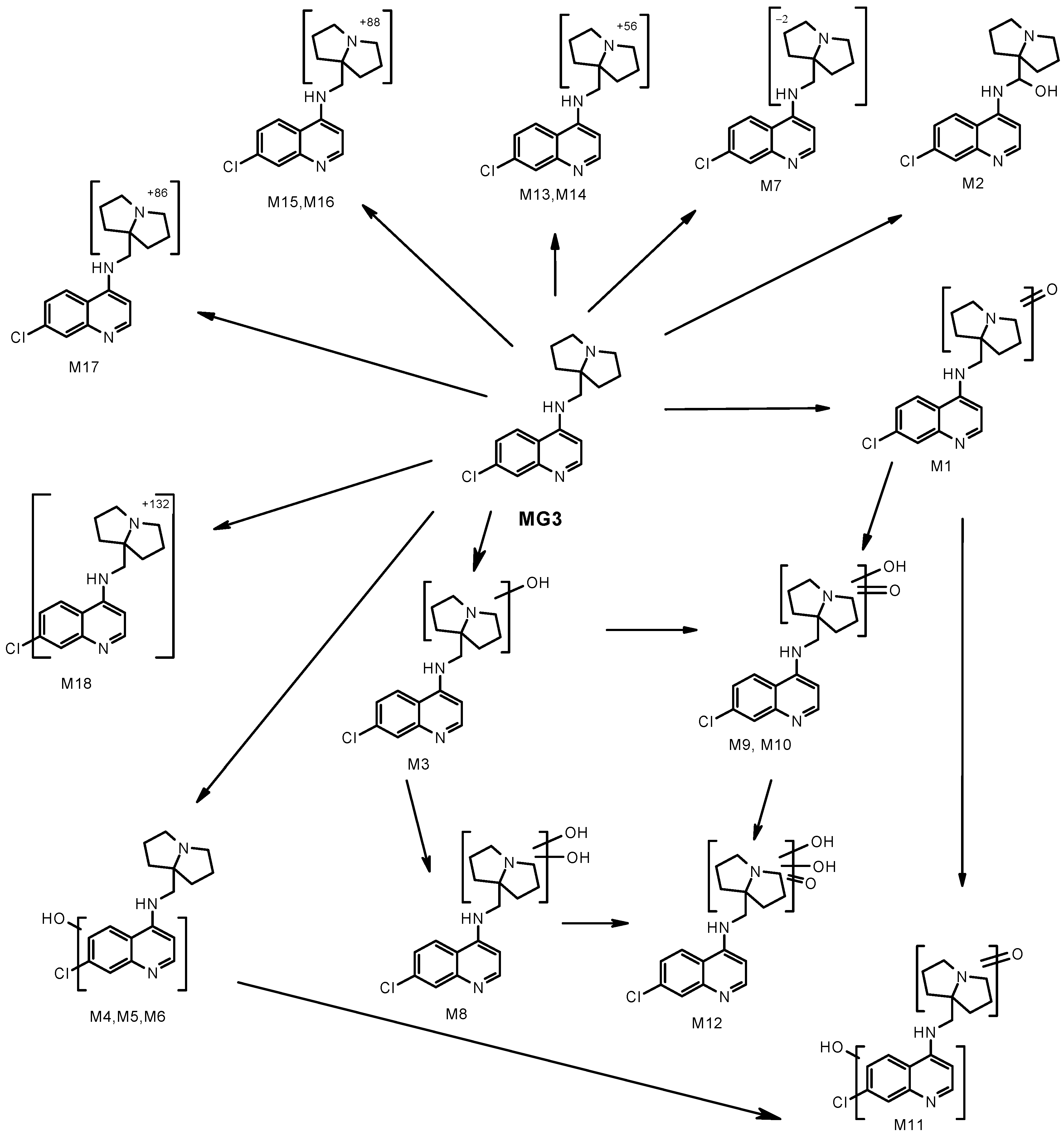 Biomolecules 13 00836 g002 Biomolecules 13 00836 g002