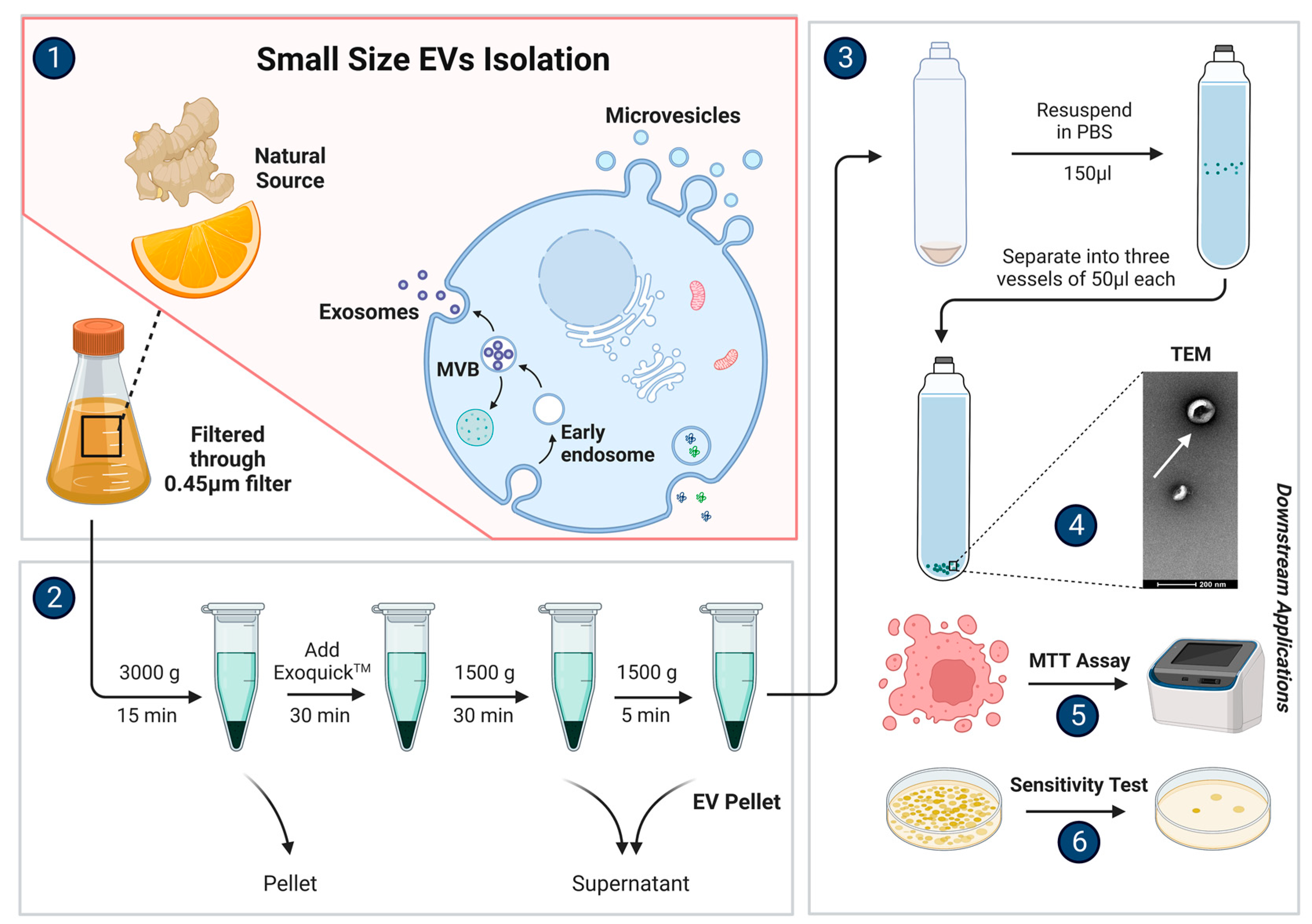 Biomolecules 13 00839 g002 Biomolecules 13 00839 g002