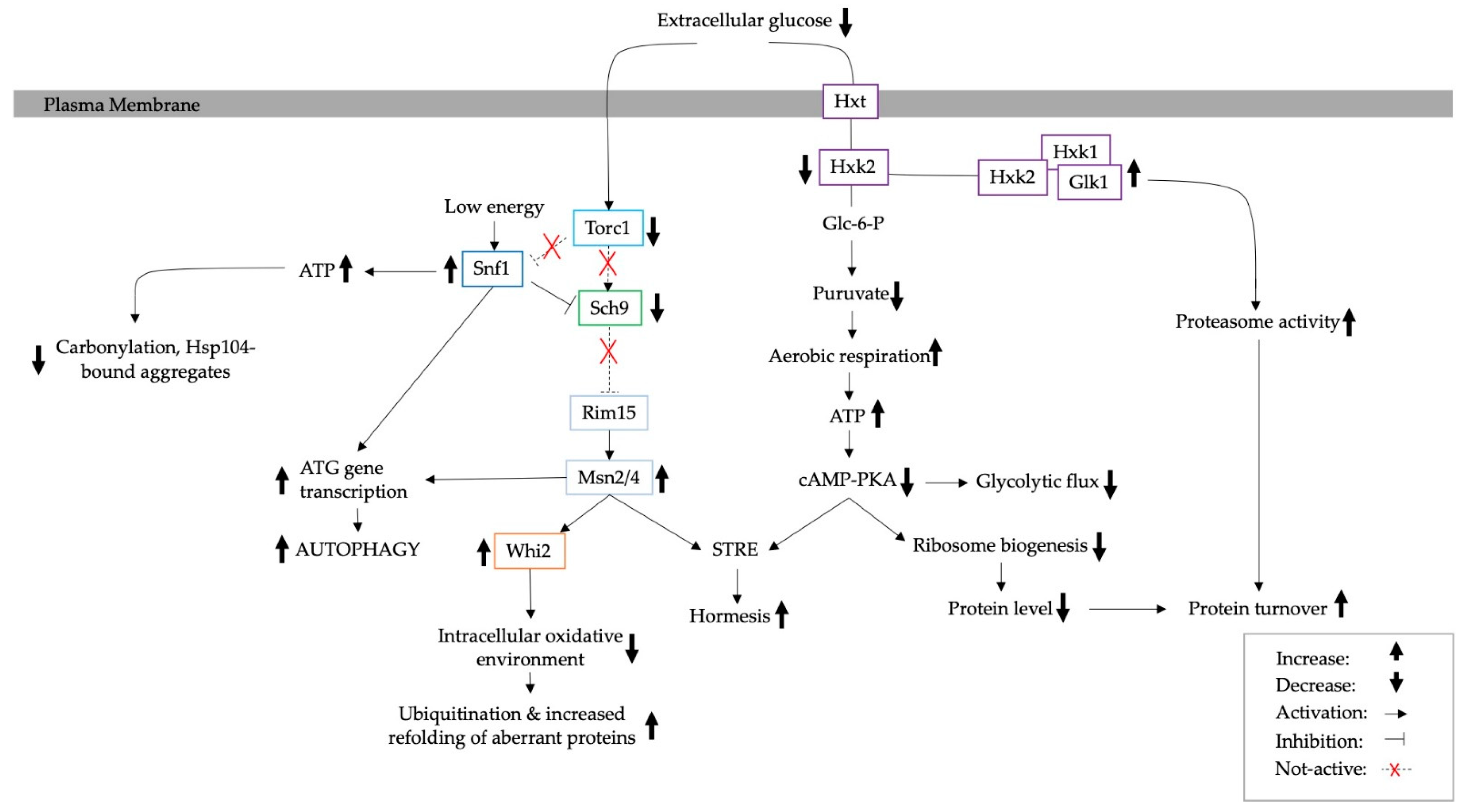 Biomolecules 13 00841 g008 Biomolecules 13 00841 g008