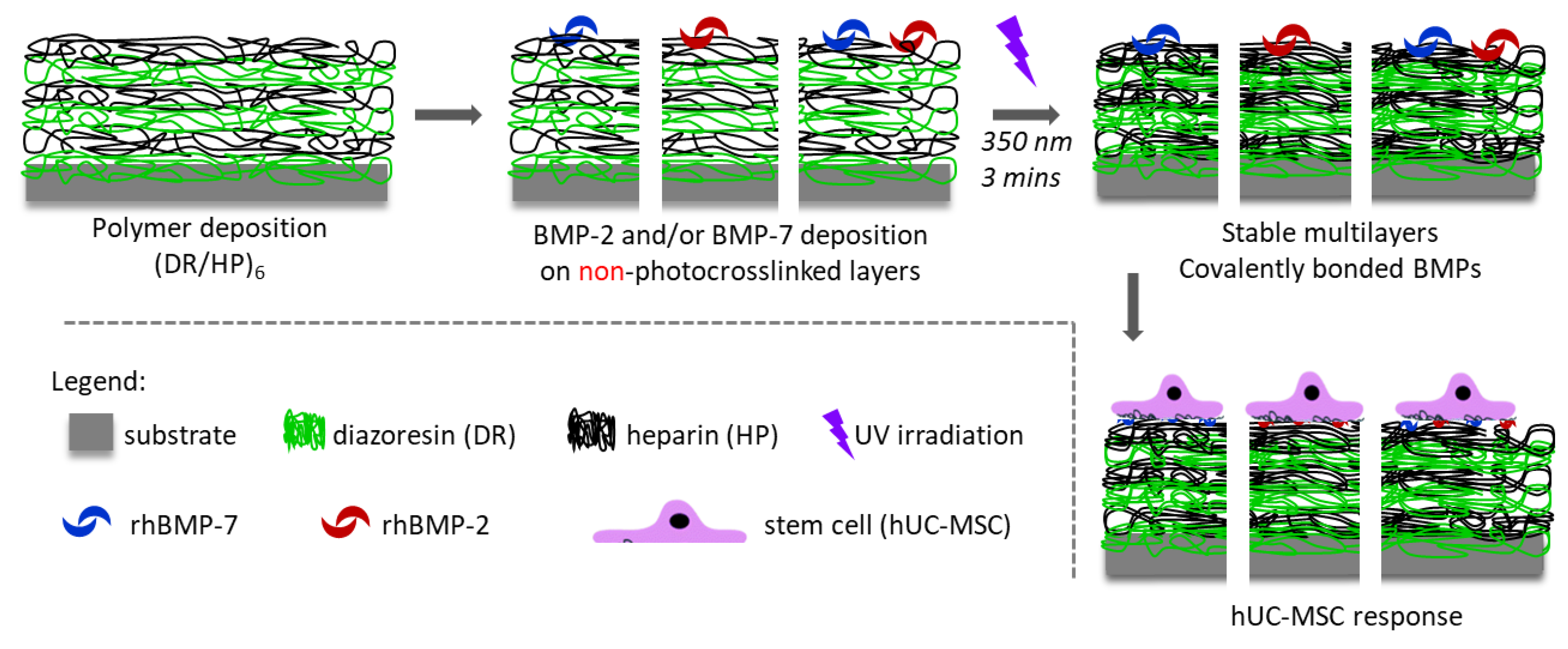 Biomolecules 13 00842 g001