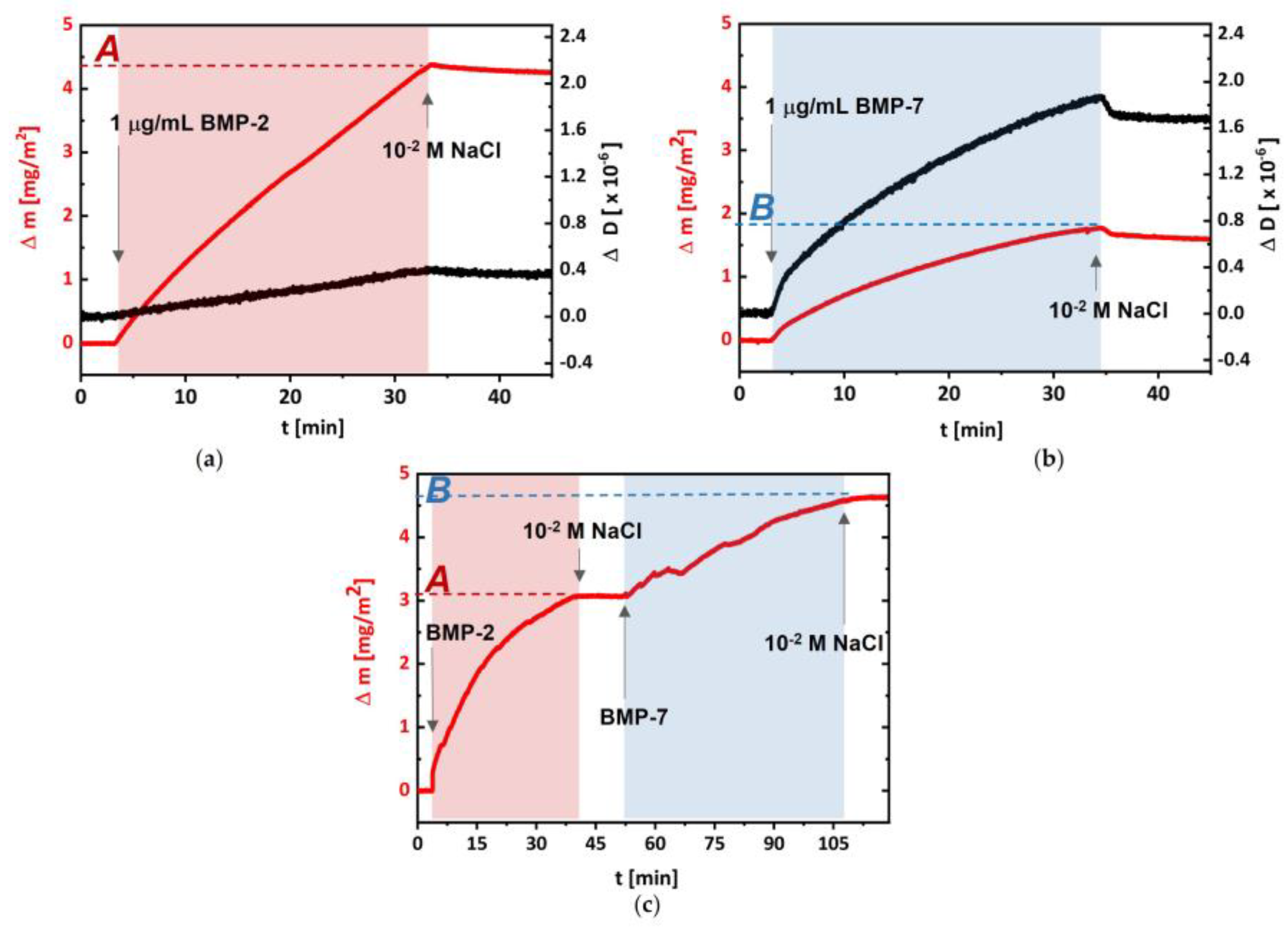 Biomolecules 13 00842 g002