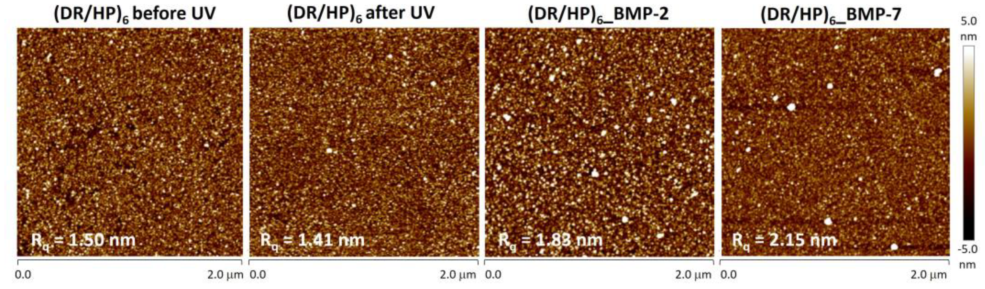 Biomolecules 13 00842 g003