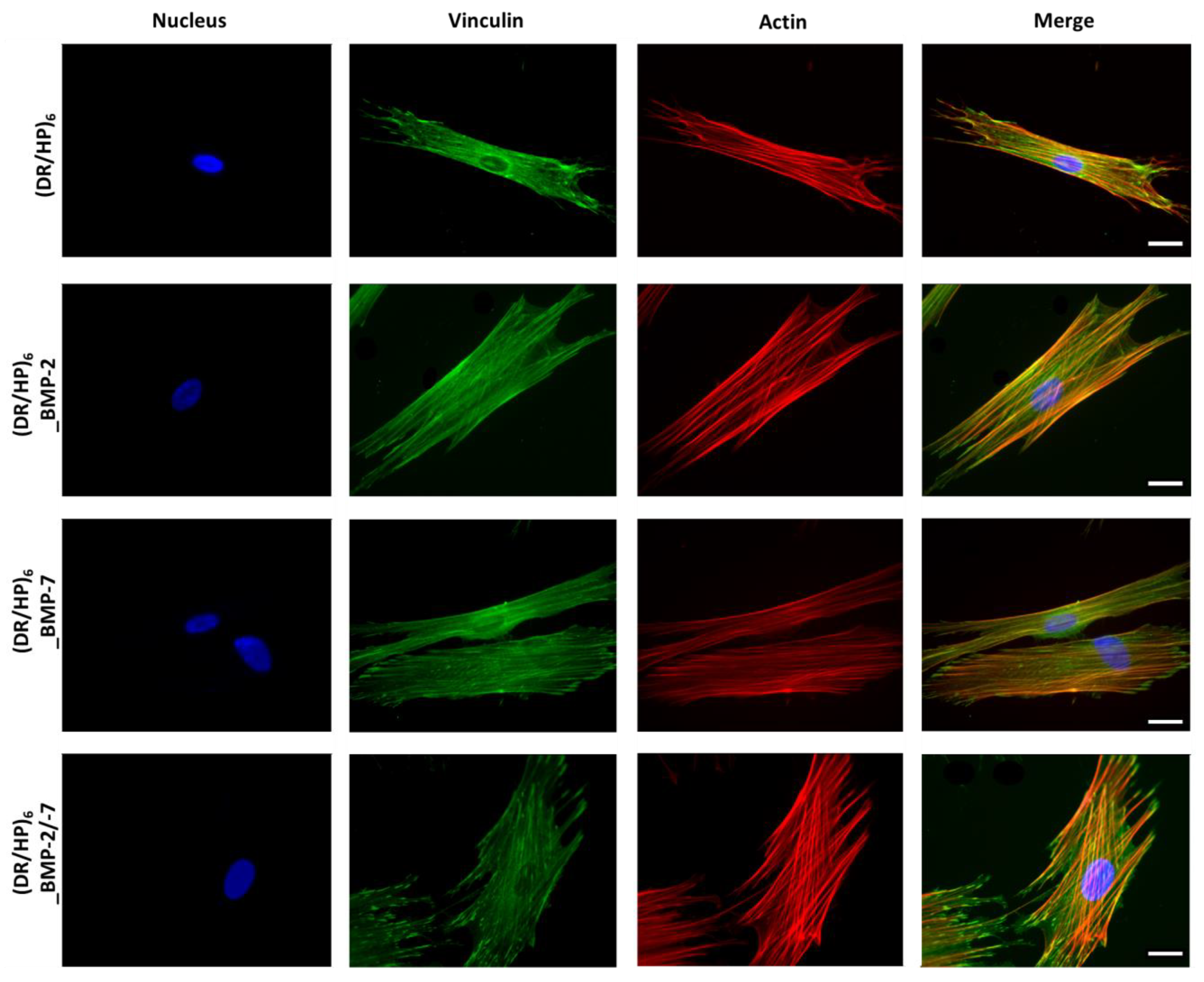 Biomolecules 13 00842 g005