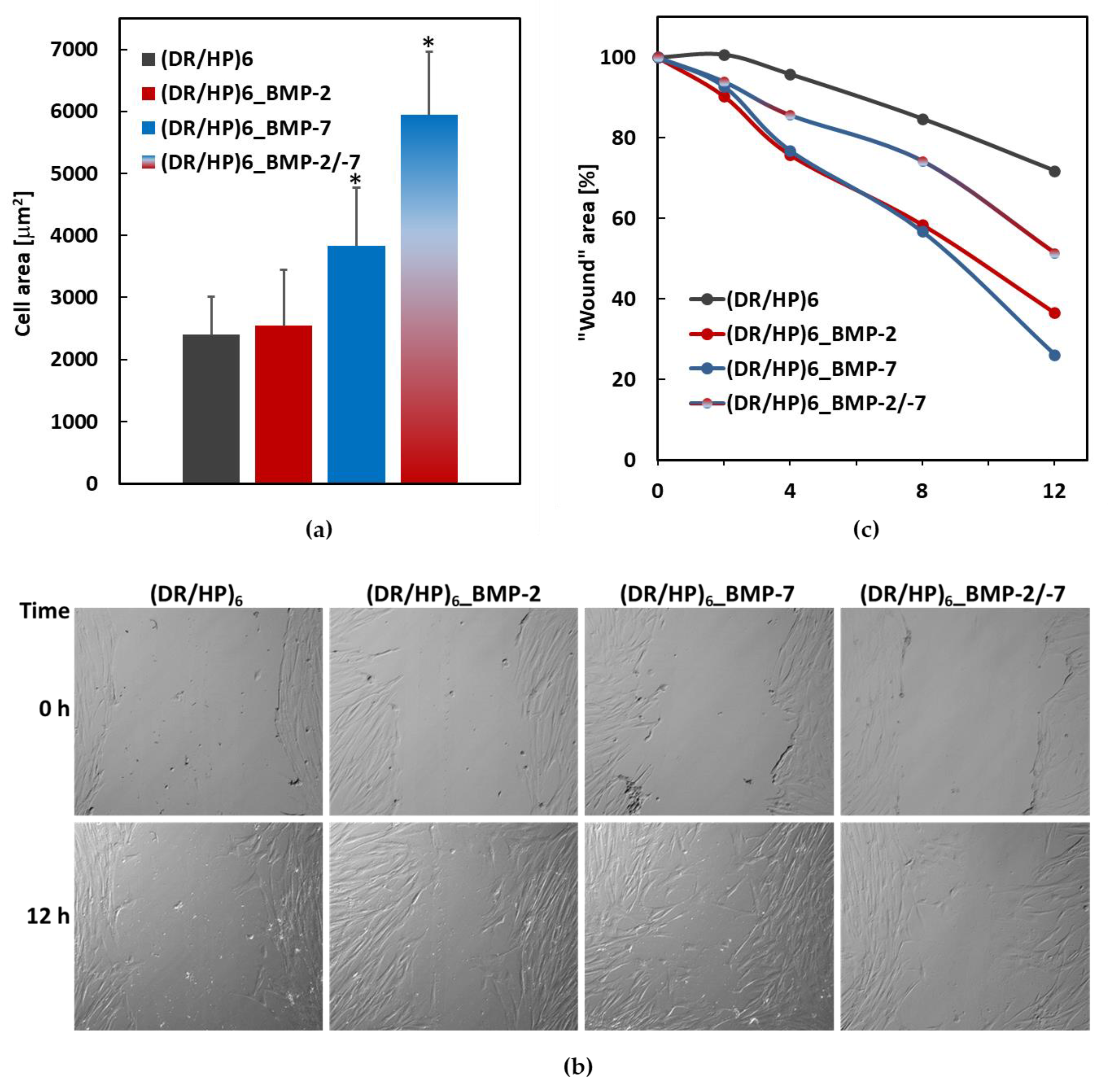 Biomolecules 13 00842 g006