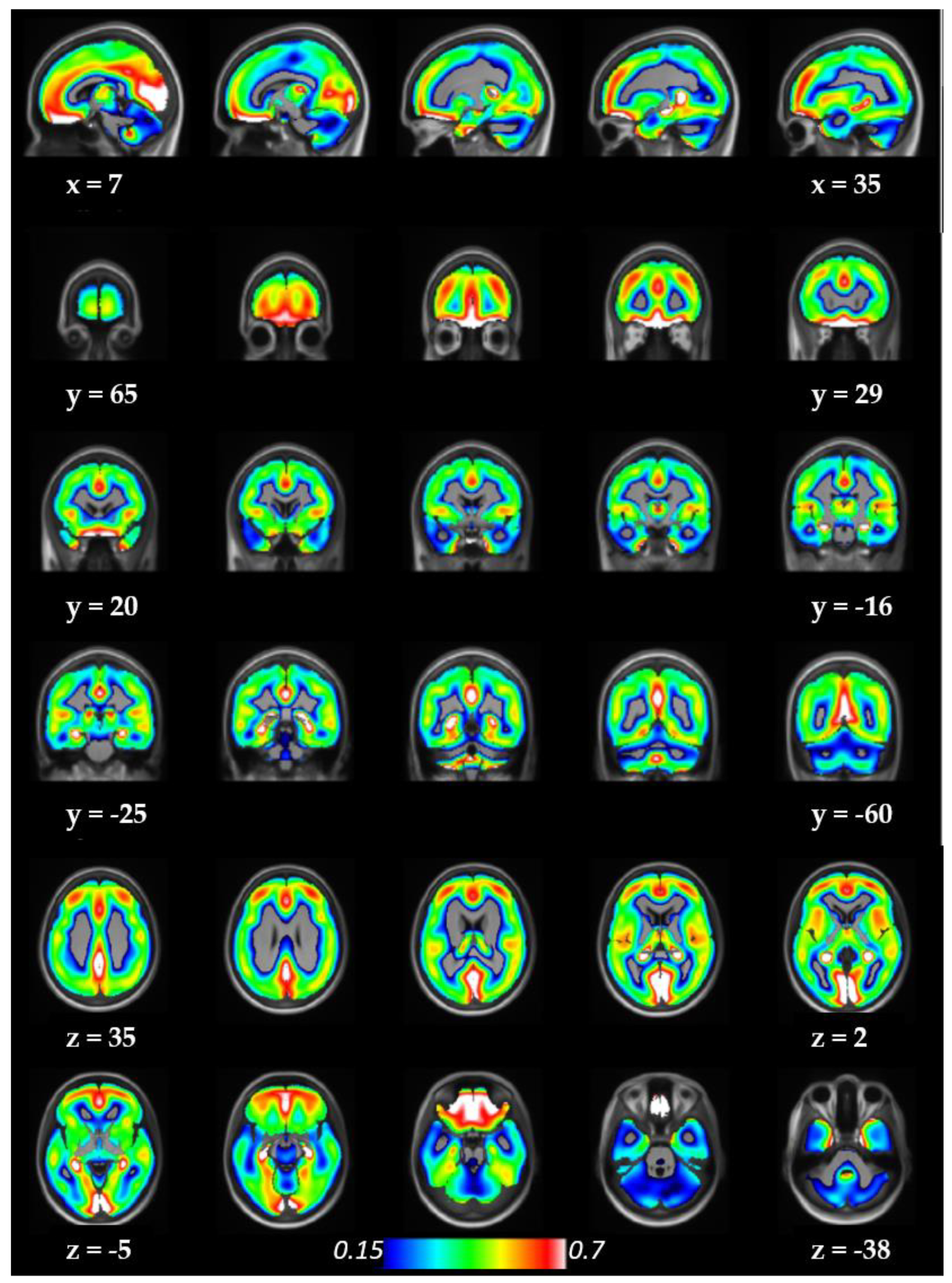Biomolecules 13 00843 g001
