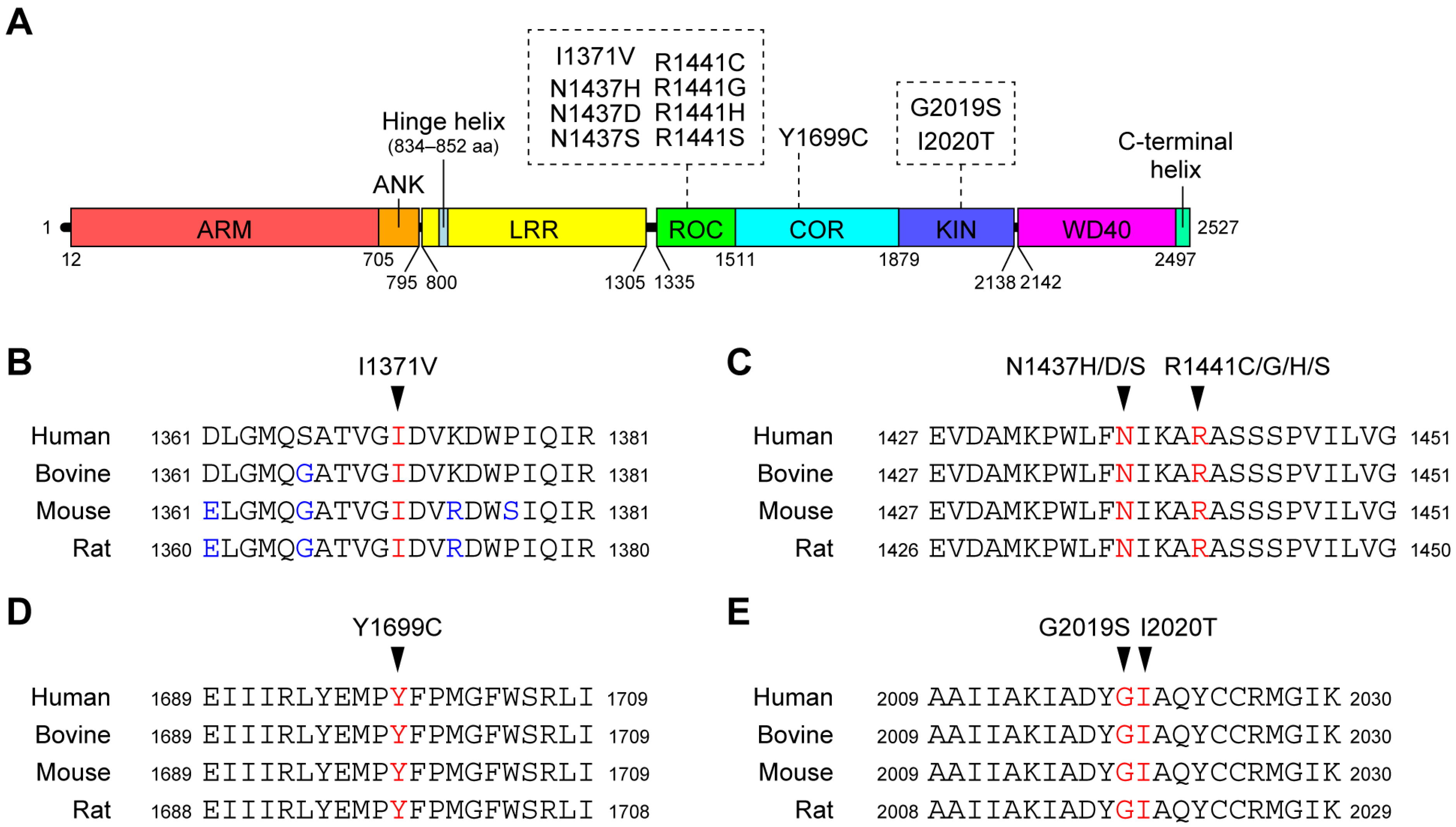 Biomolecules 13 00845 g001 Biomolecules 13 00845 g001