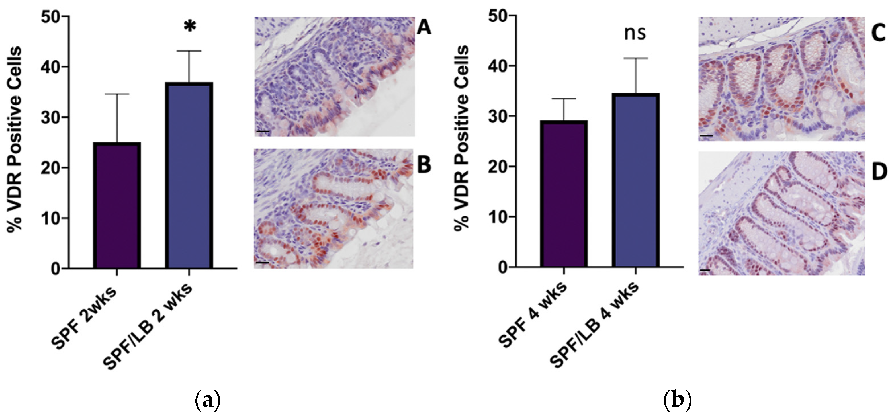 Biomolecules 13 00847 g002 Biomolecules 13 00847 g002