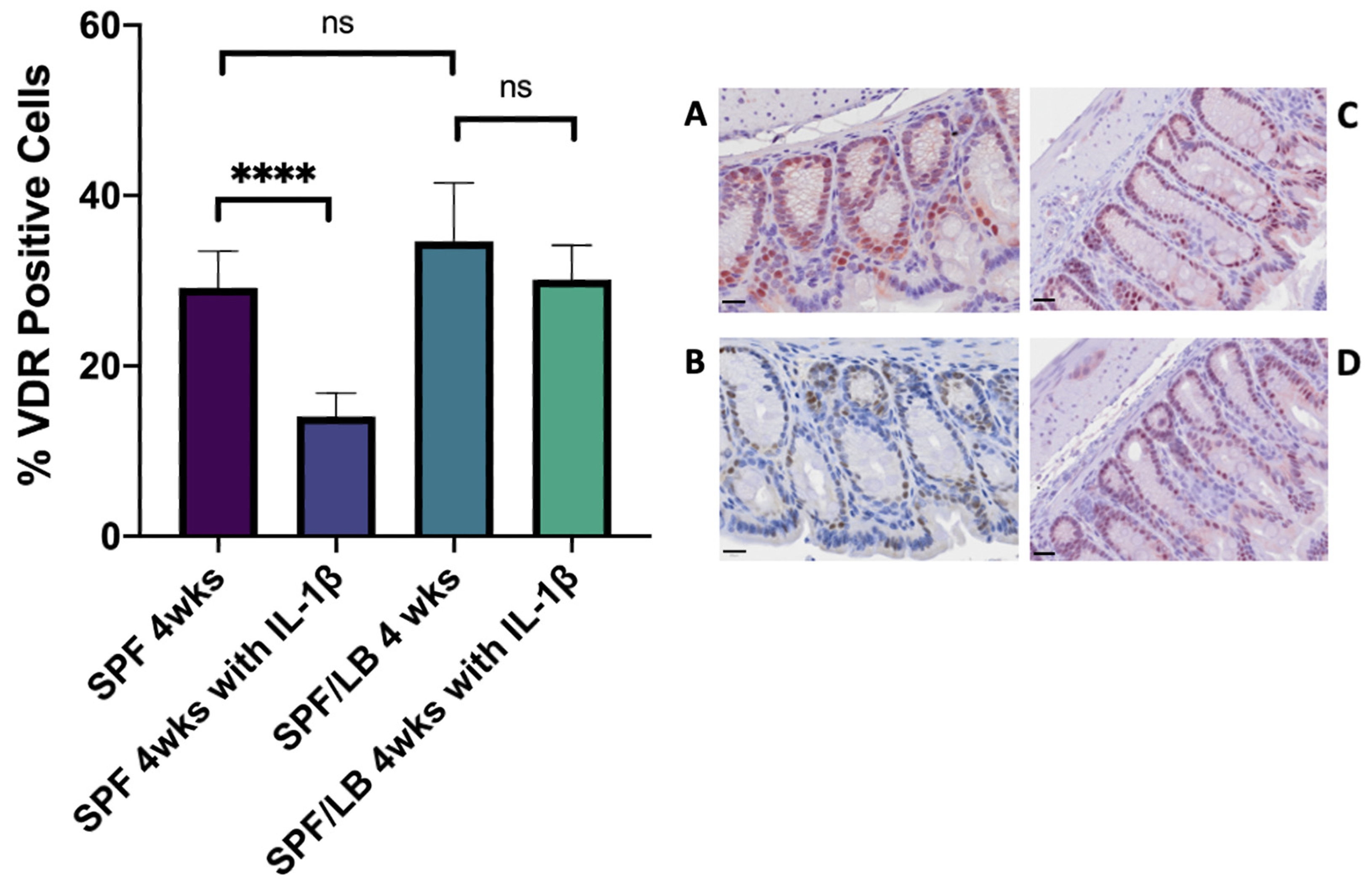 Biomolecules 13 00847 g003 Biomolecules 13 00847 g003