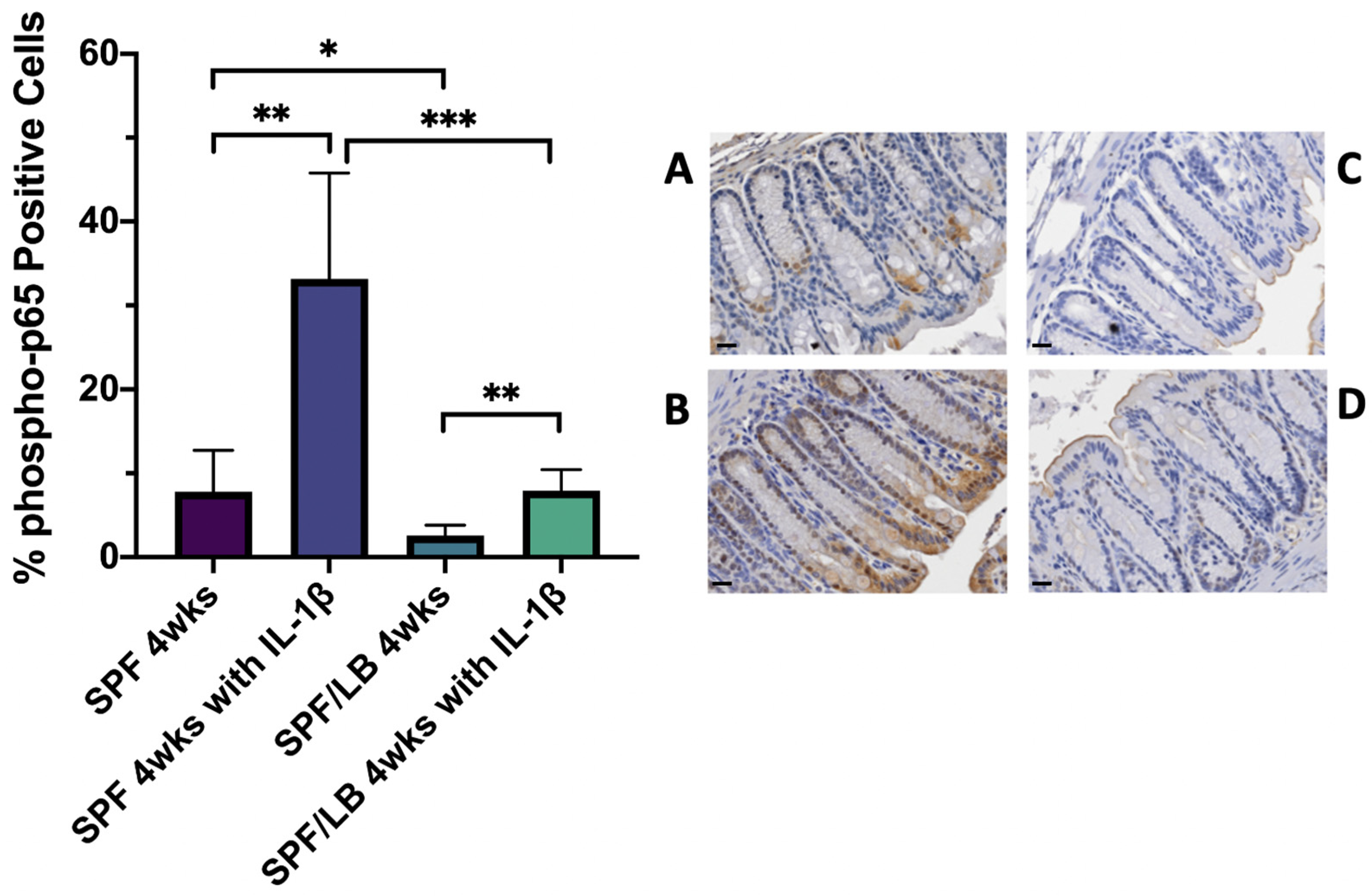 Biomolecules 13 00847 g004 Biomolecules 13 00847 g004