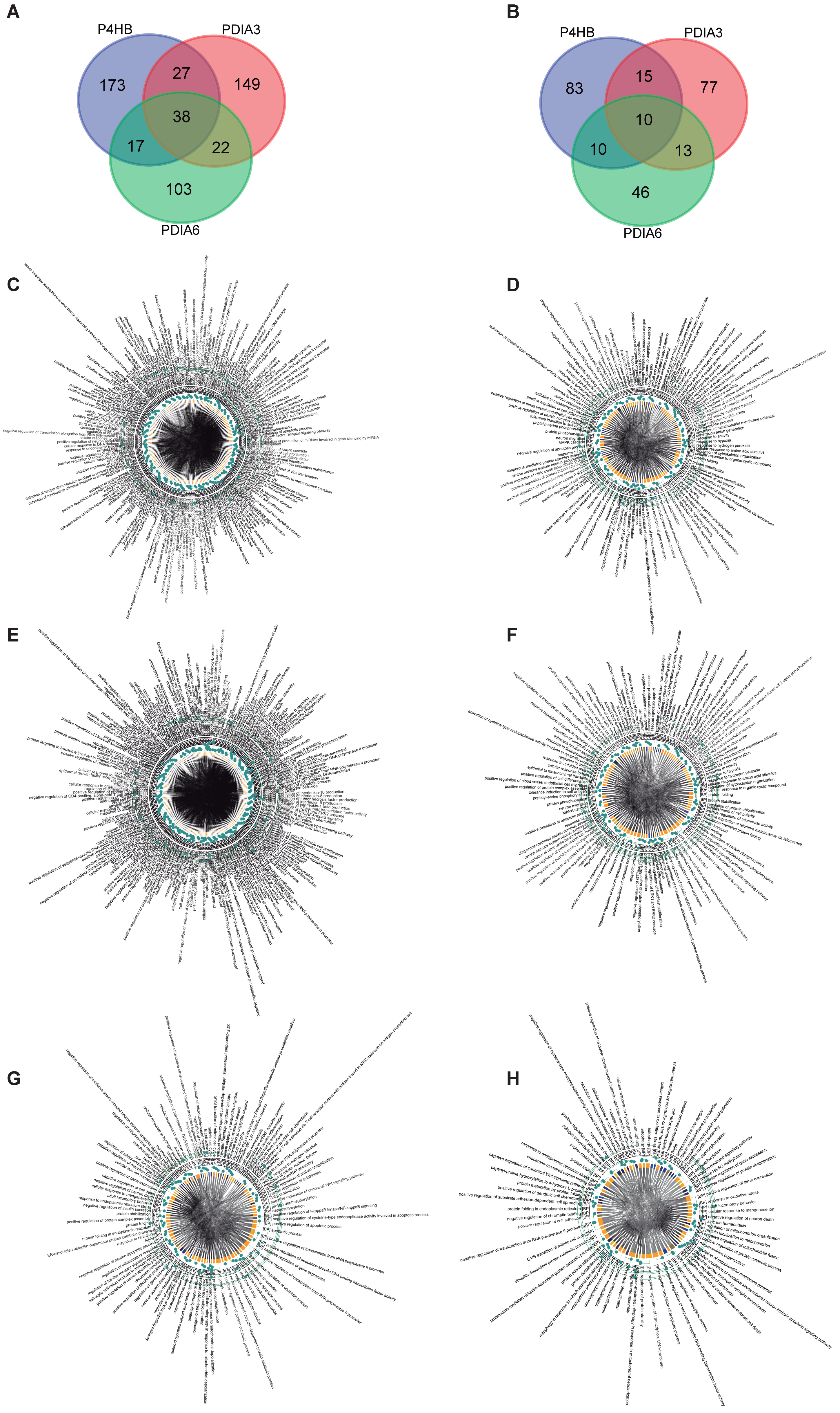 Biomolecules 13 00848 g002 Biomolecules 13 00848 g002