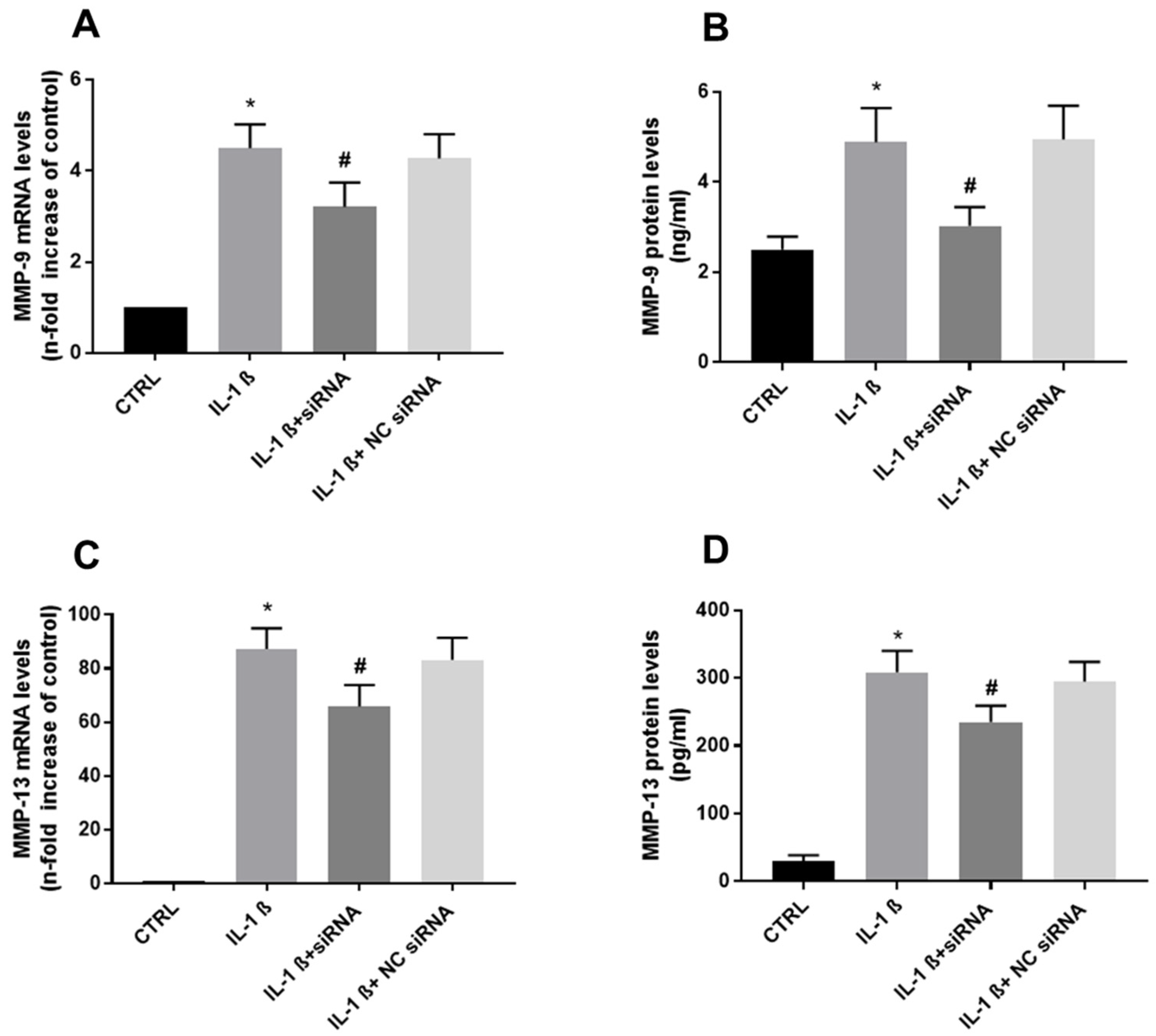 Biomolecules 13 00851 g003